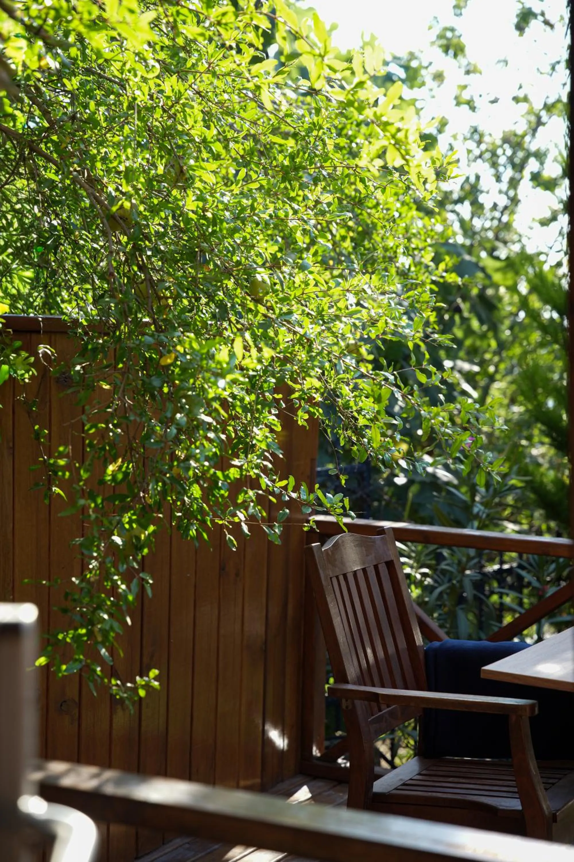 Day in Navy Inn & Bungalows