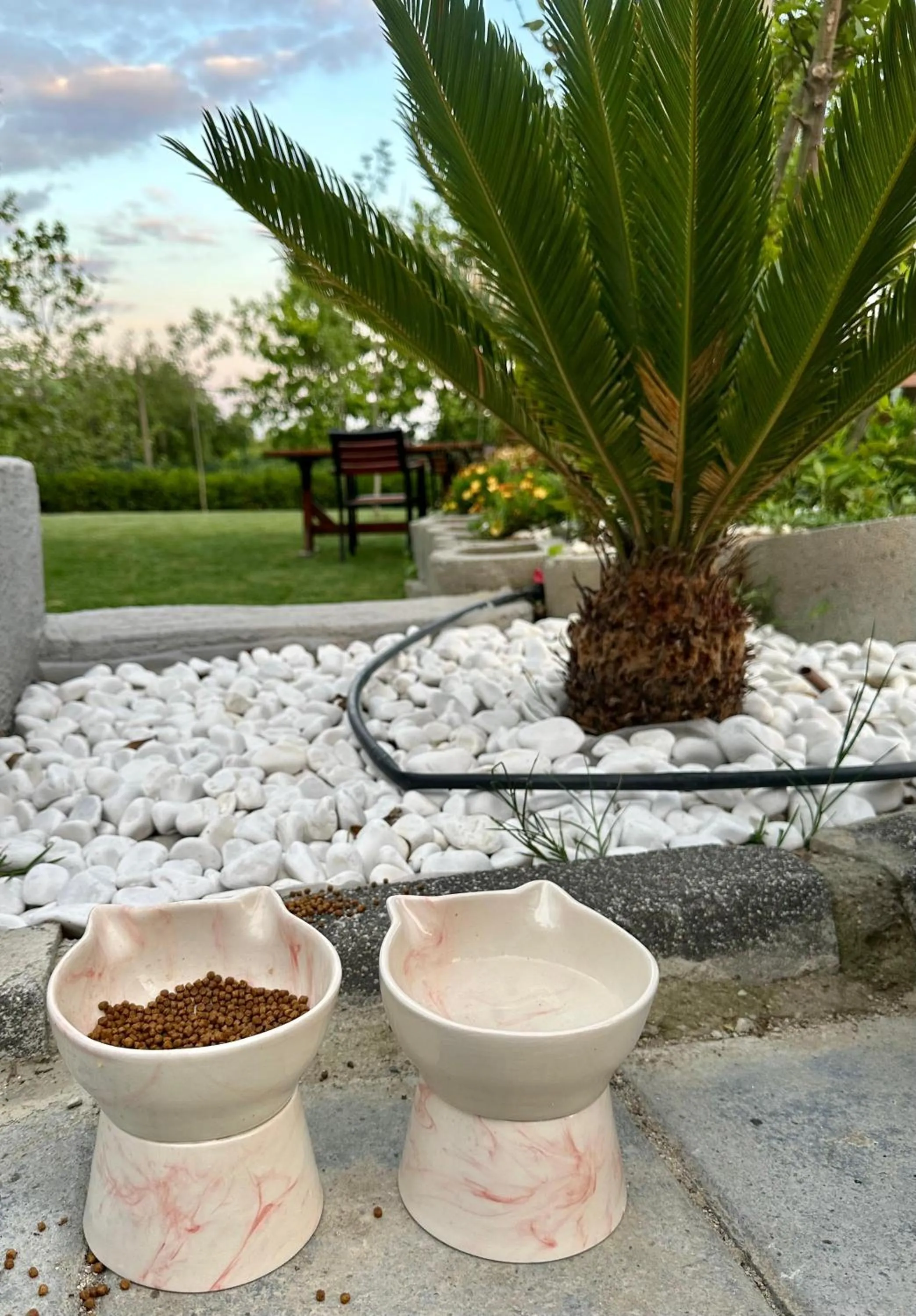 Garden in Navy Inn & Bungalows