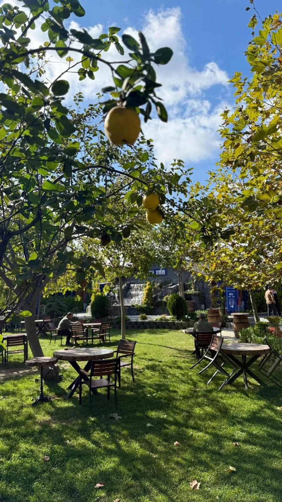 Navy Inn & Bungalows