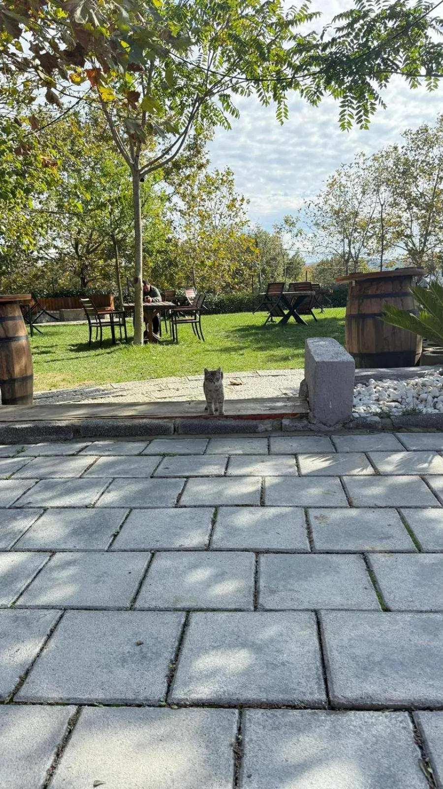 Navy Inn & Bungalows