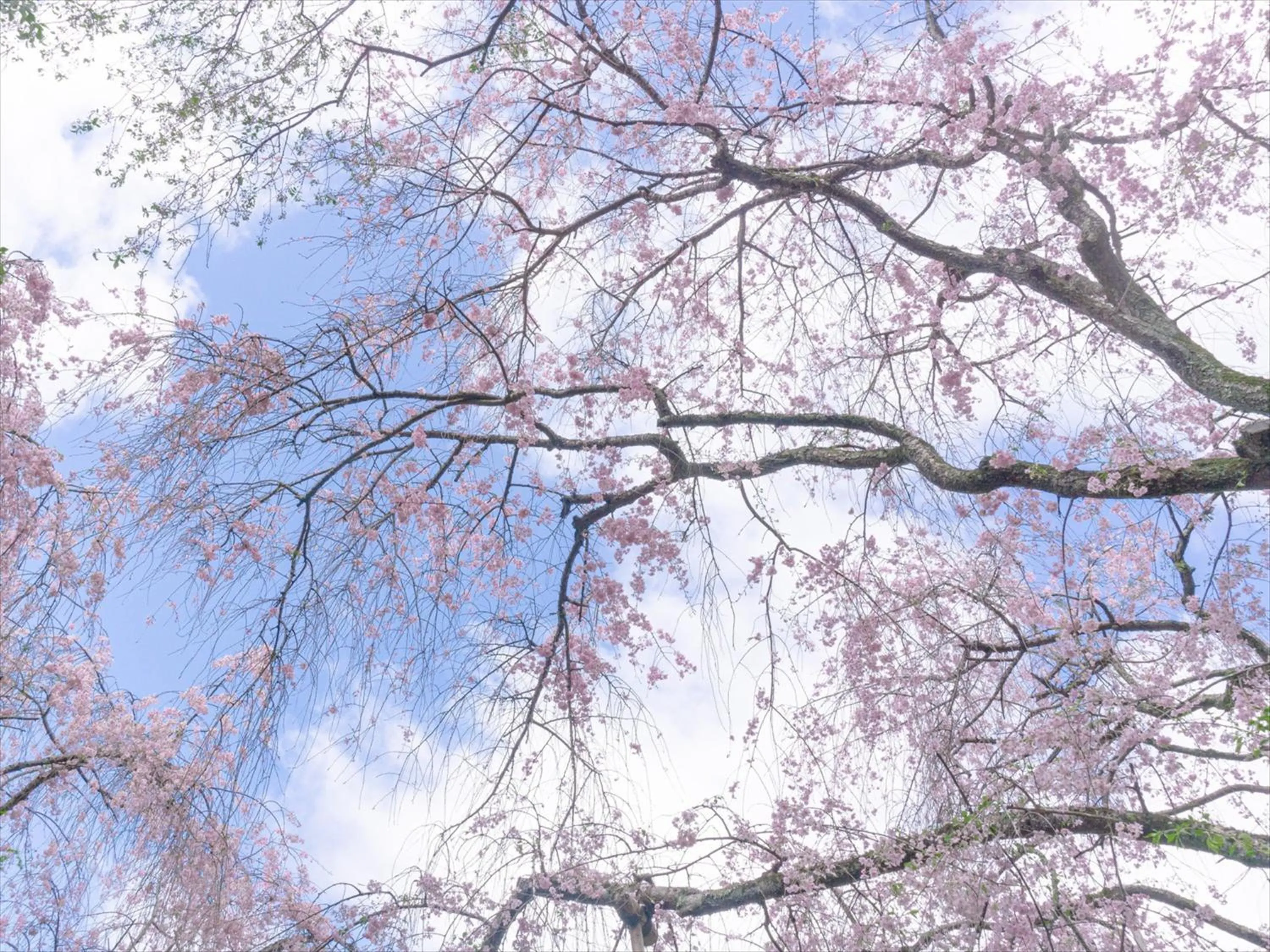 Nearby landmark in HANARE by Tokyu Stay Kyoto Sanjo