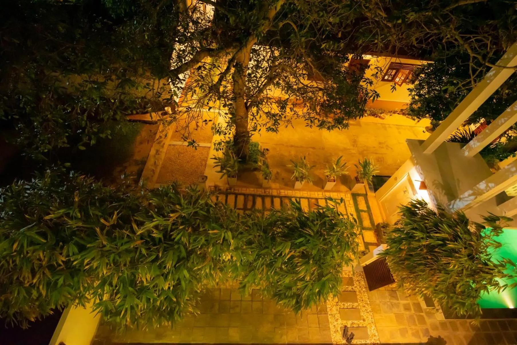 Garden in The Residence Hikkaduwa