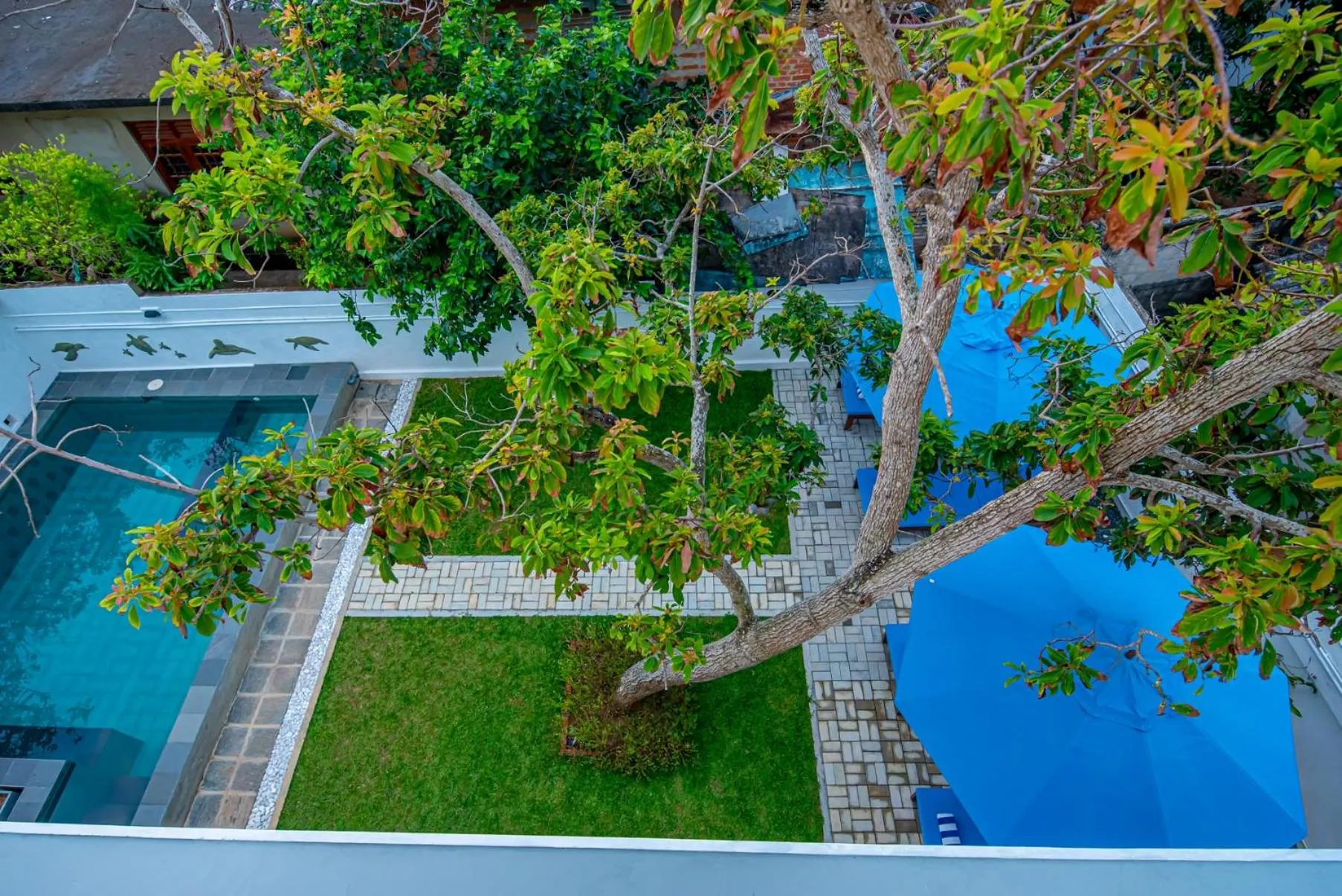 Garden in The Residence Hikkaduwa