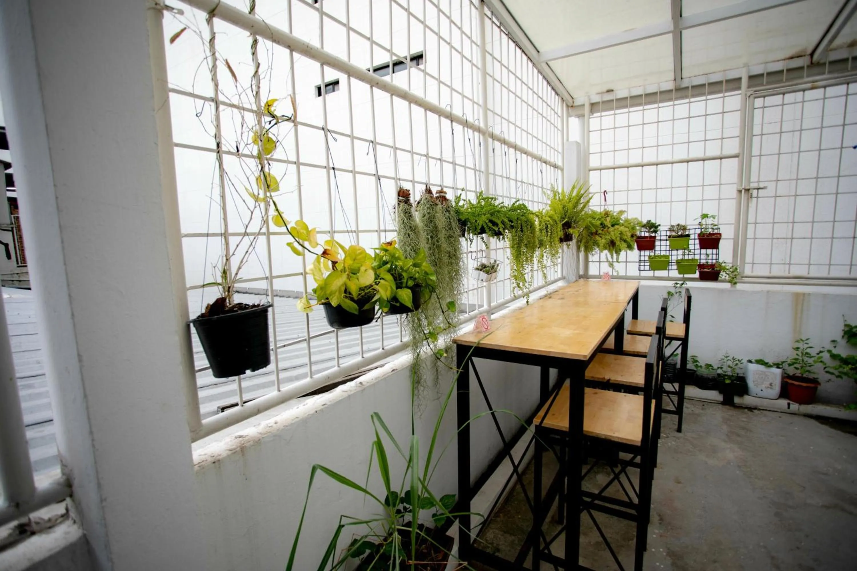 Garden in Tini Kati Hostel