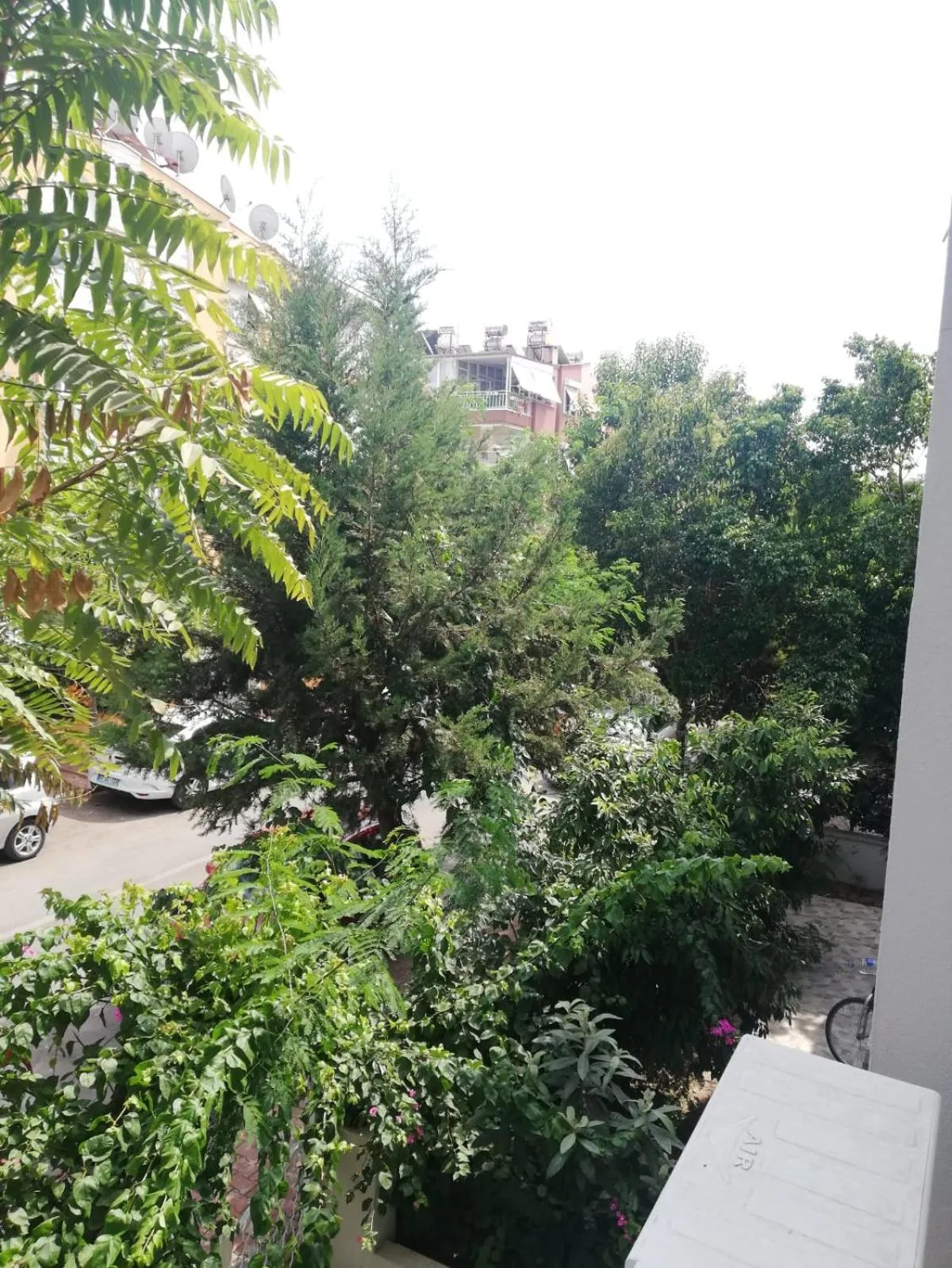 City view in Terrasuit