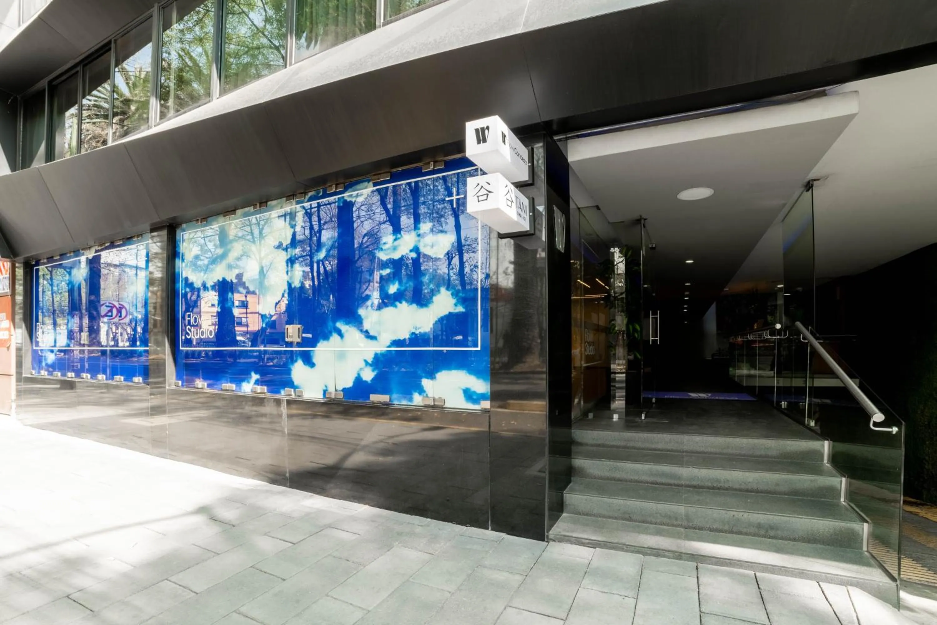 Flow Condesa - Adults Only