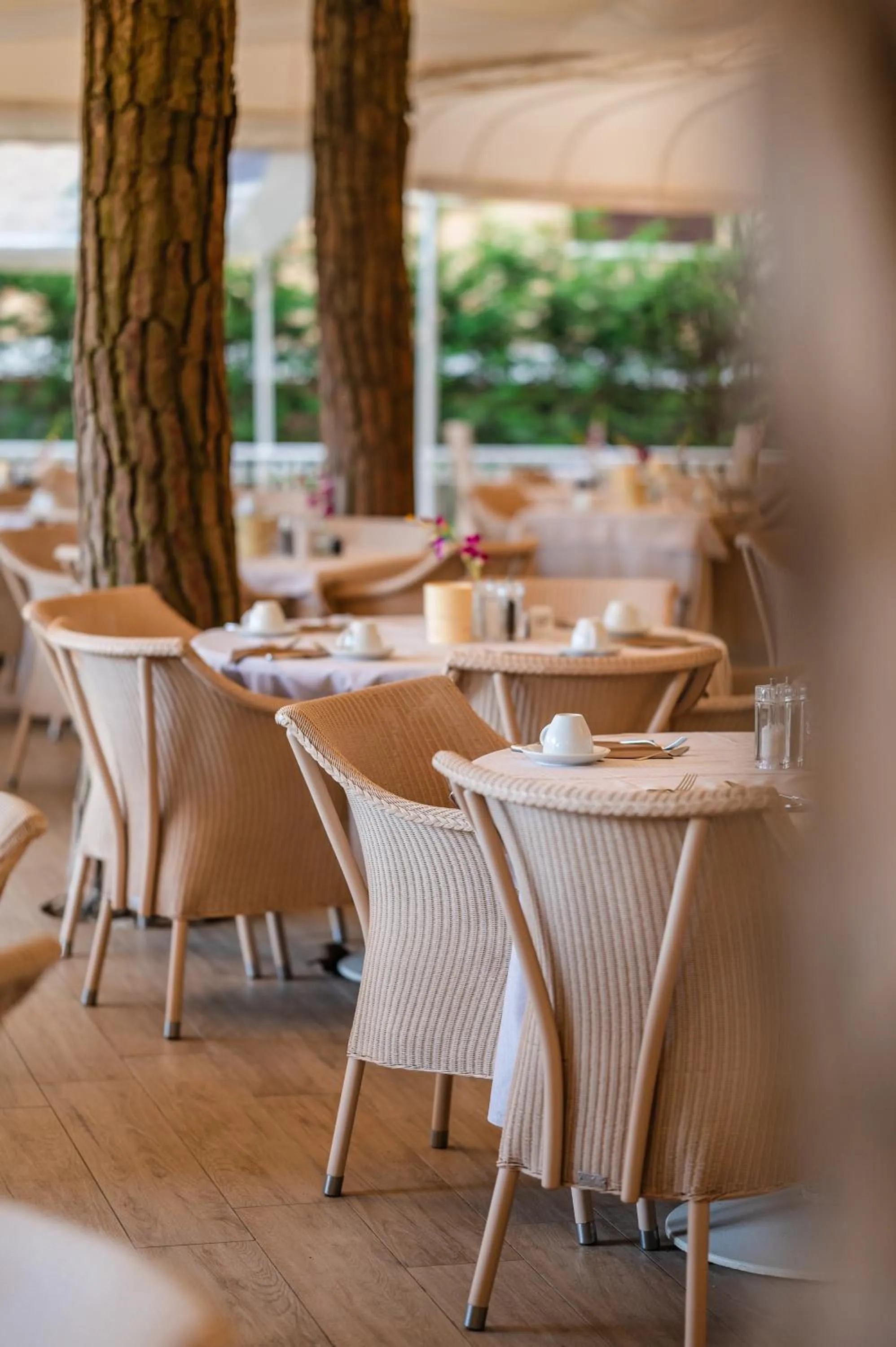 Restaurant/places to eat in Park Hotel Maracaibo