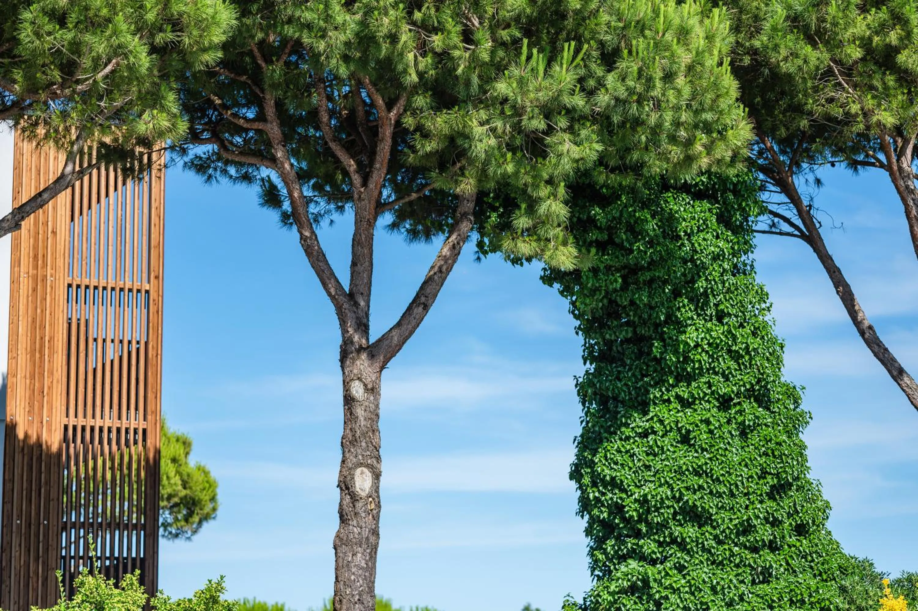 Garden in Park Hotel Maracaibo