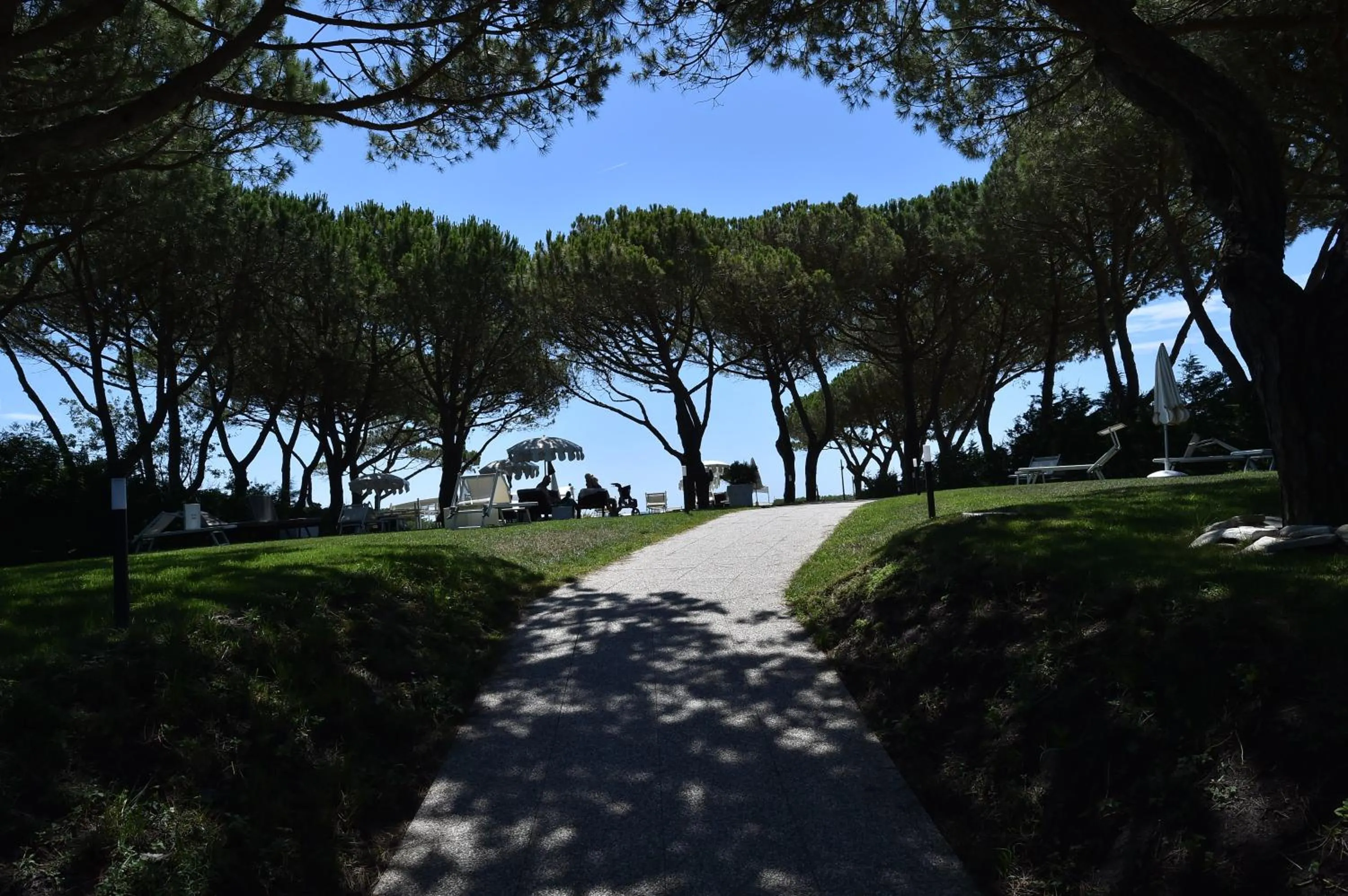 Natural landscape in Park Hotel Maracaibo