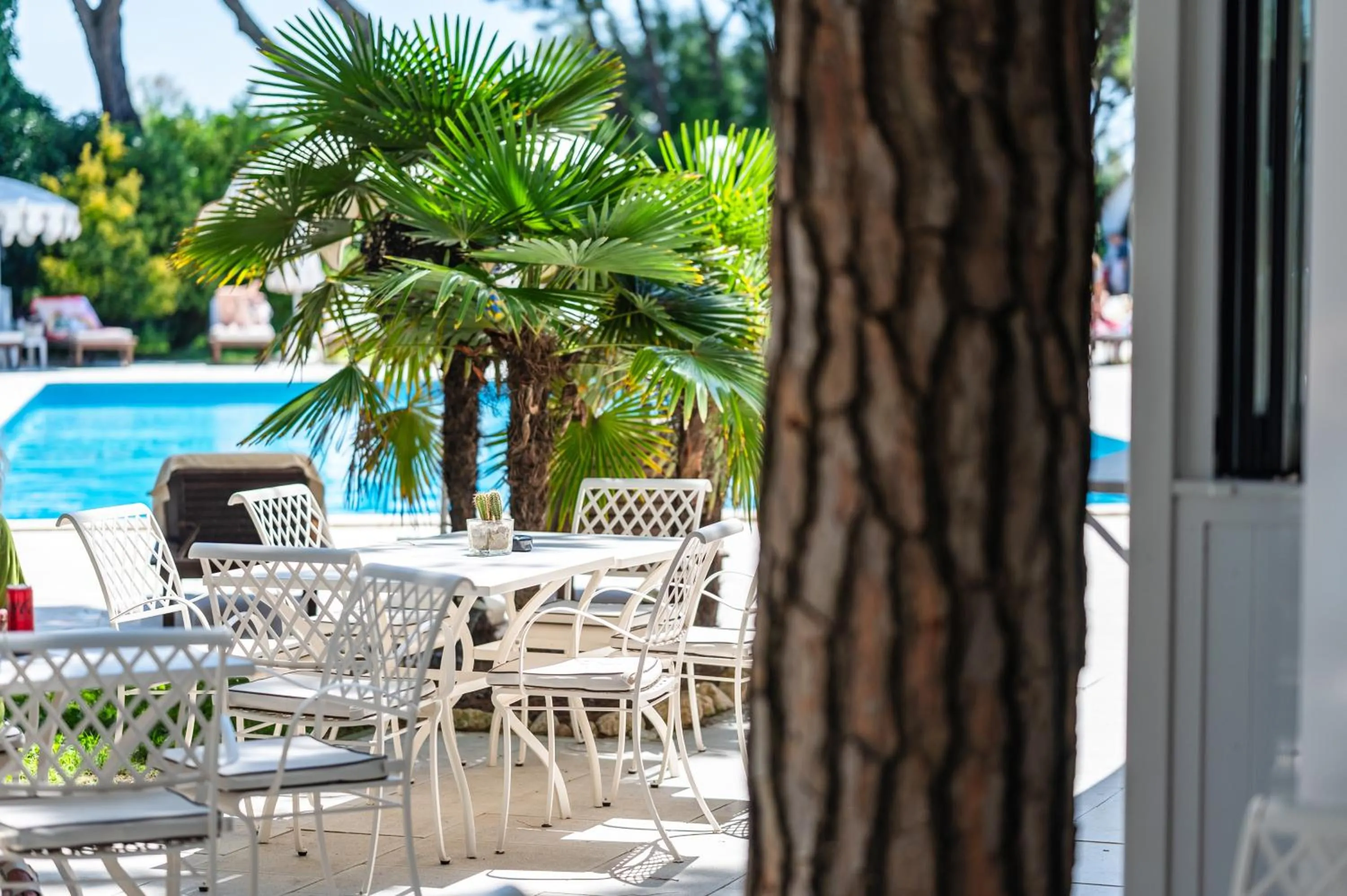 Garden in Park Hotel Maracaibo