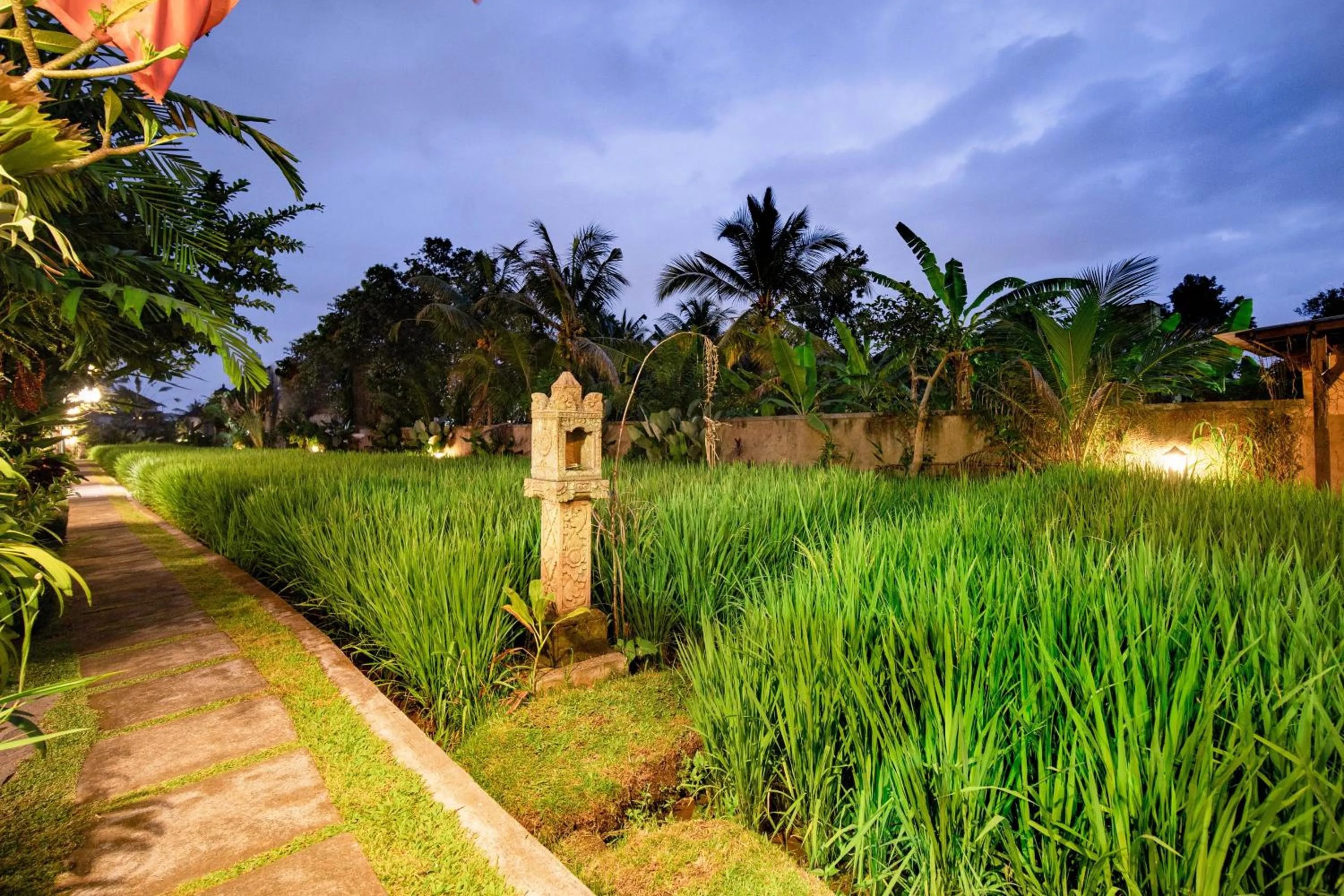 Natural landscape in Villa Nini