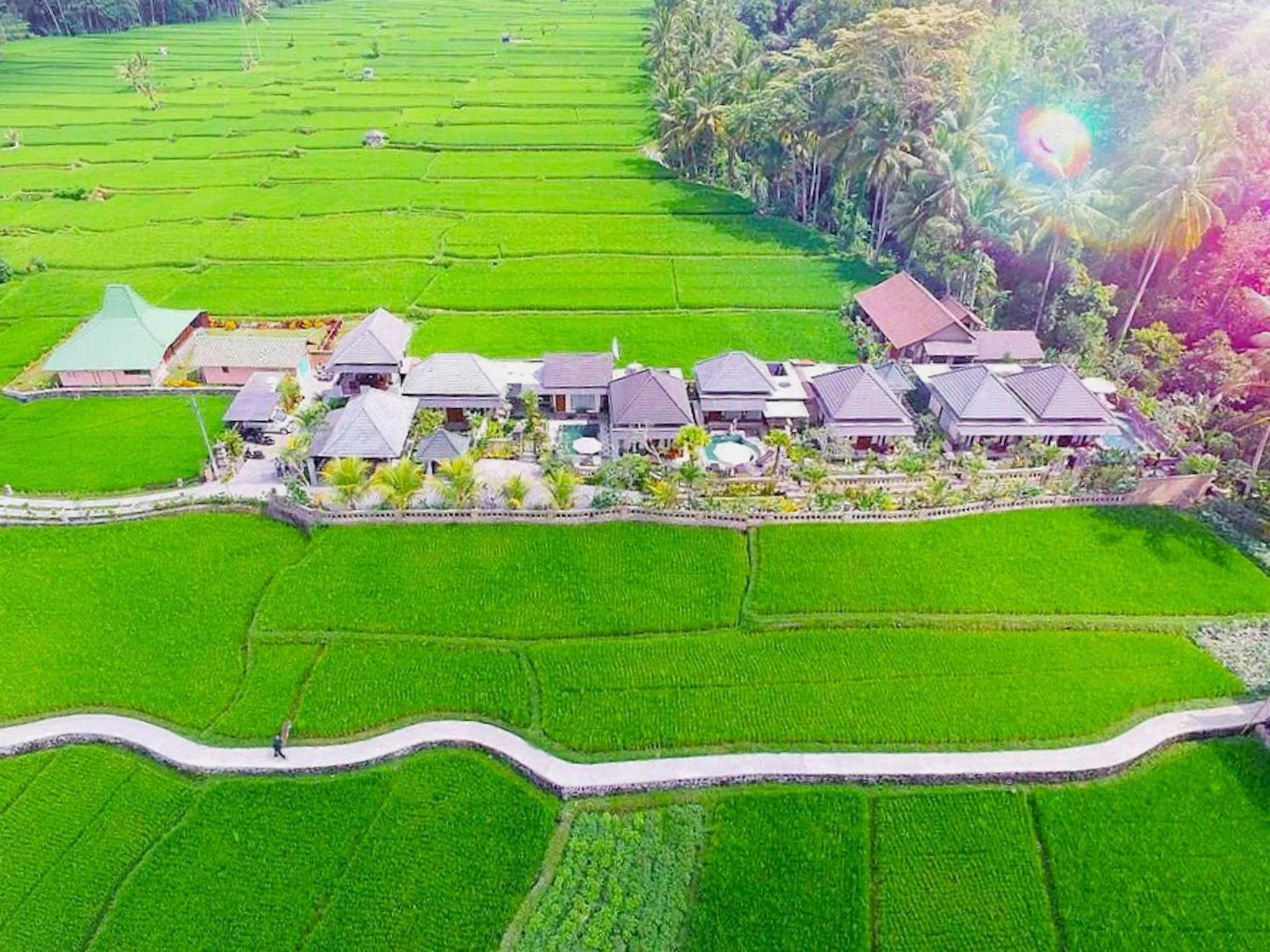 Natural landscape in Villa JJ and Spa Ubud