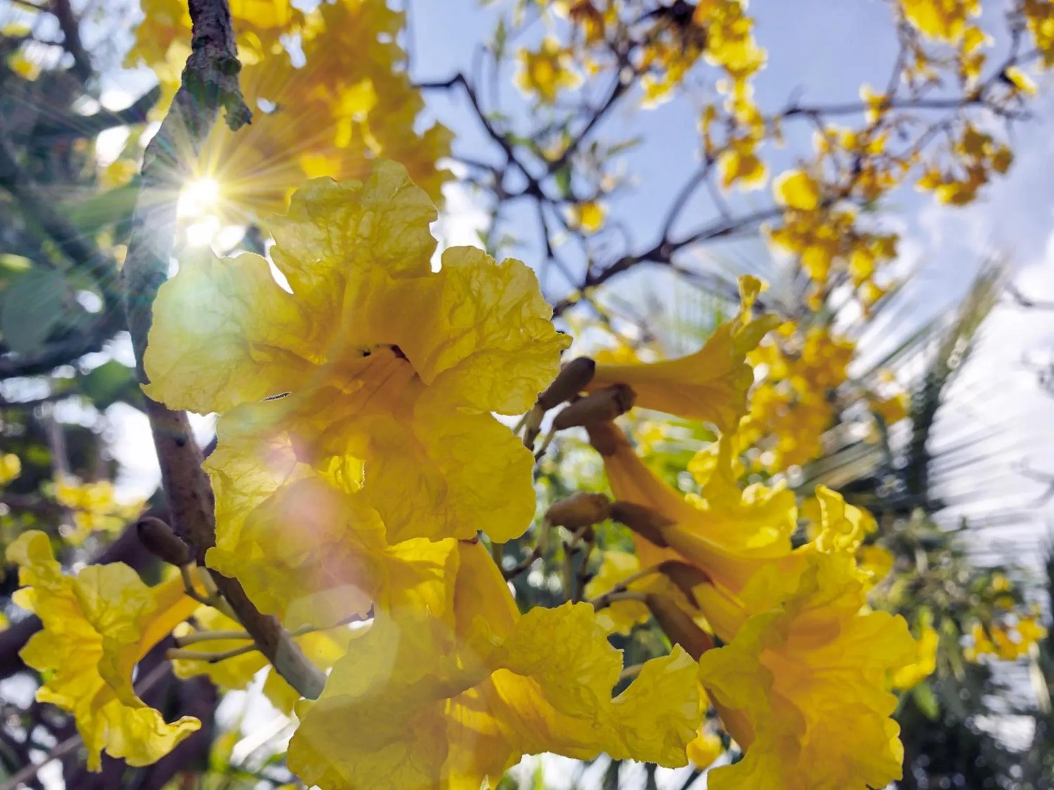 Day in Villa JJ and Spa Ubud