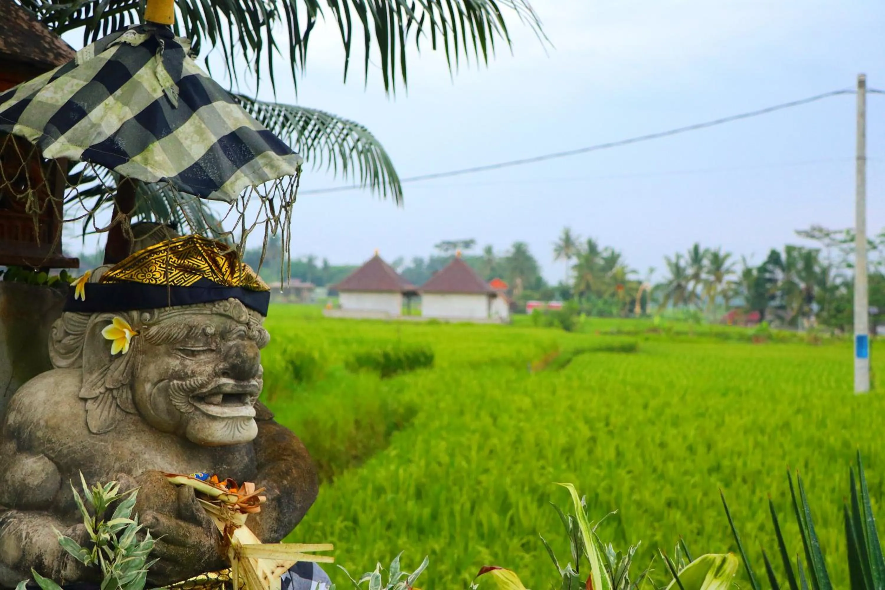 Natural landscape in Villa JJ and Spa Ubud