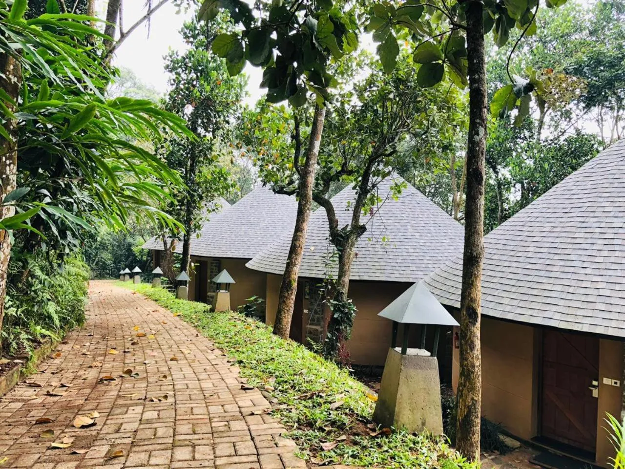 Property building in Poetree Thekkady