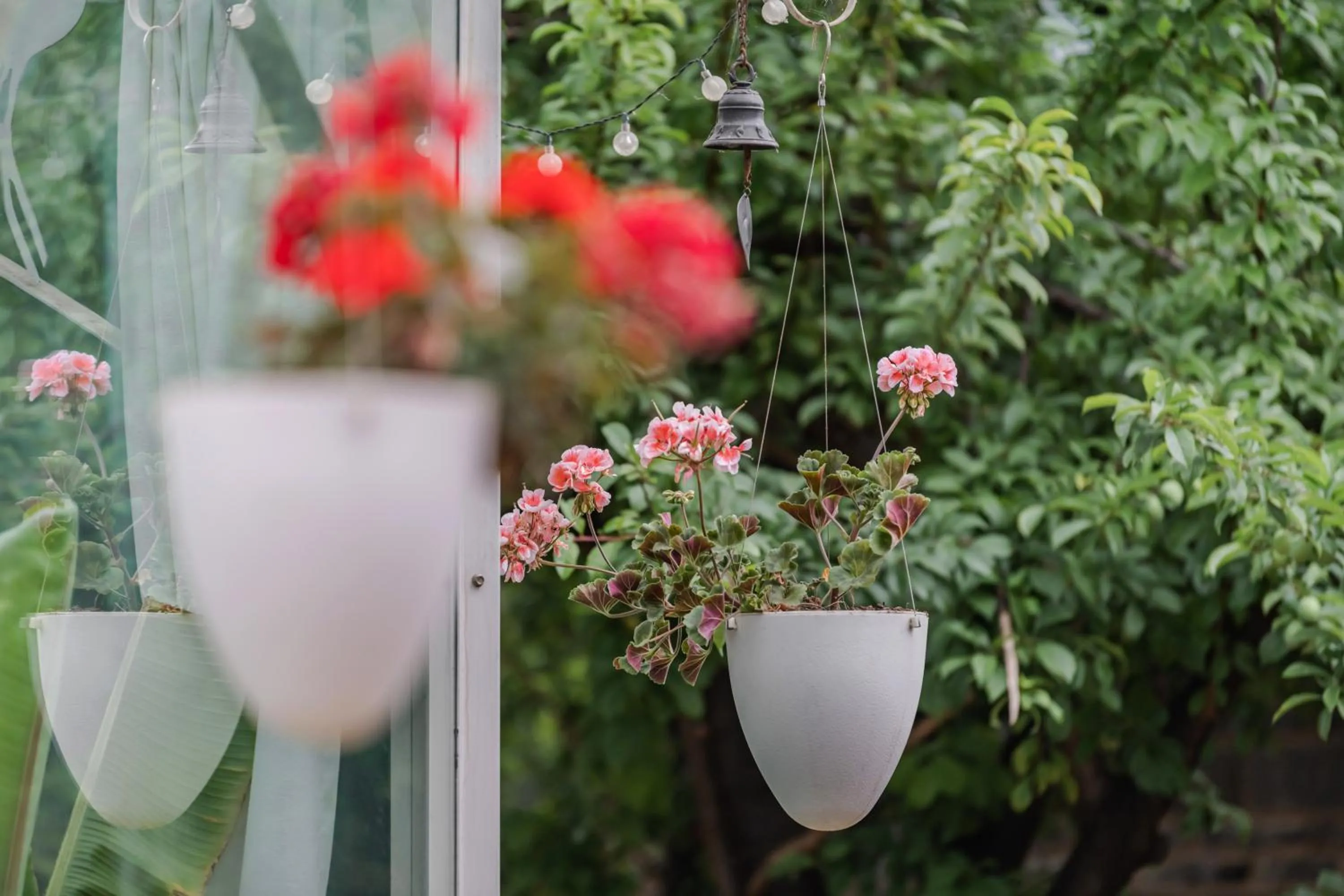 Baisha Flamingo Hotel