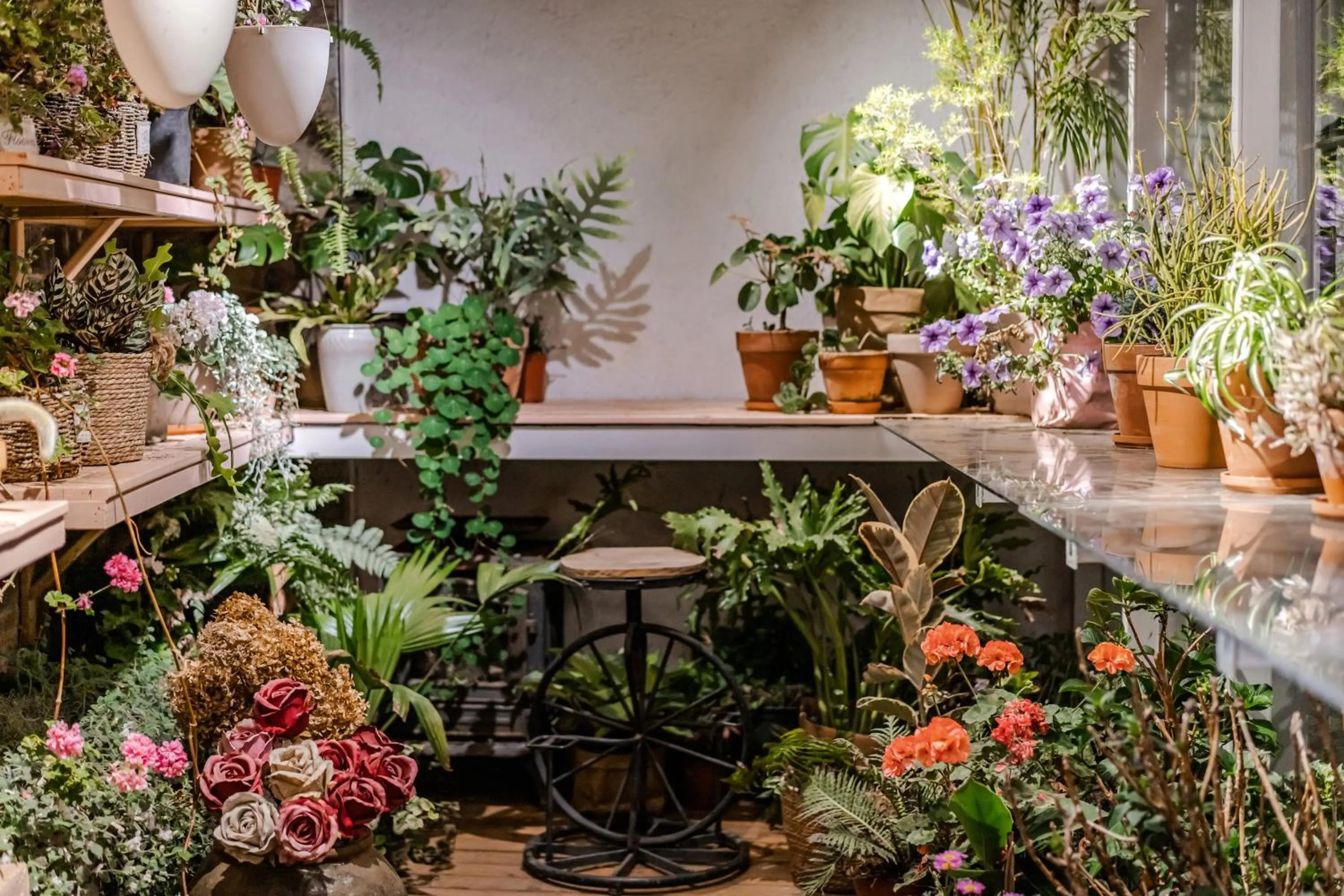 Baisha Flamingo Hotel