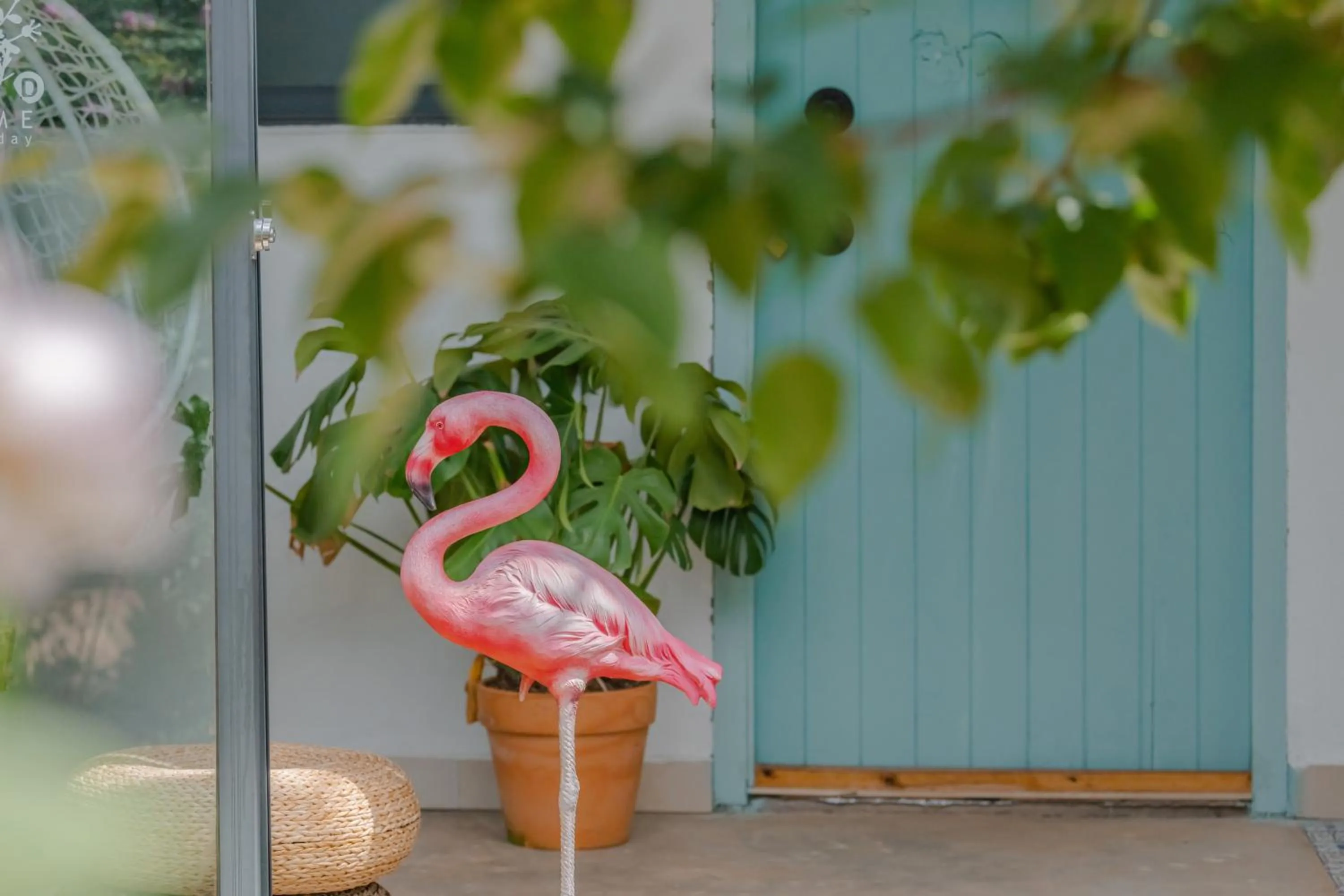 Baisha Flamingo Hotel