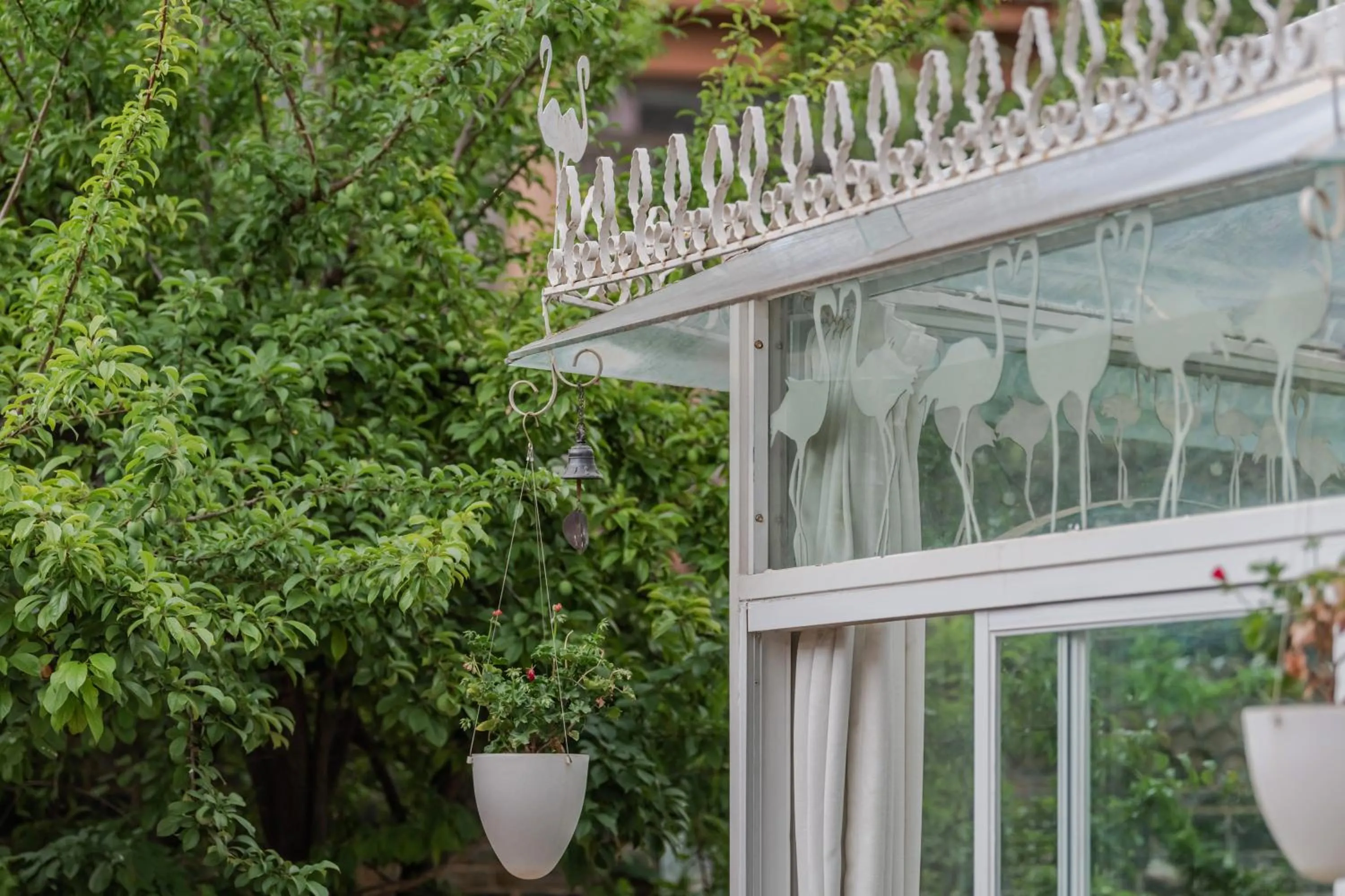 Baisha Flamingo Hotel