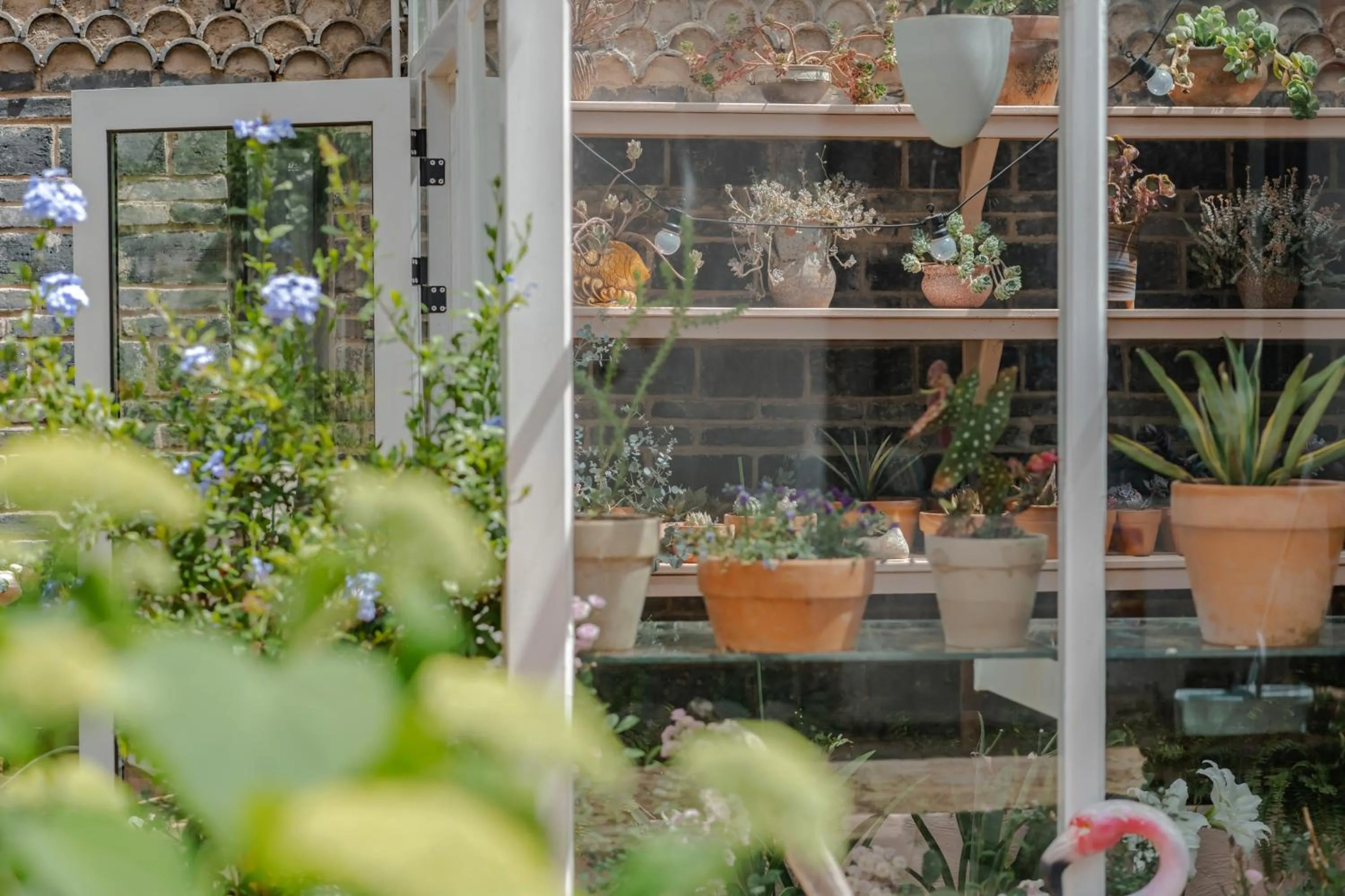 Baisha Flamingo Hotel