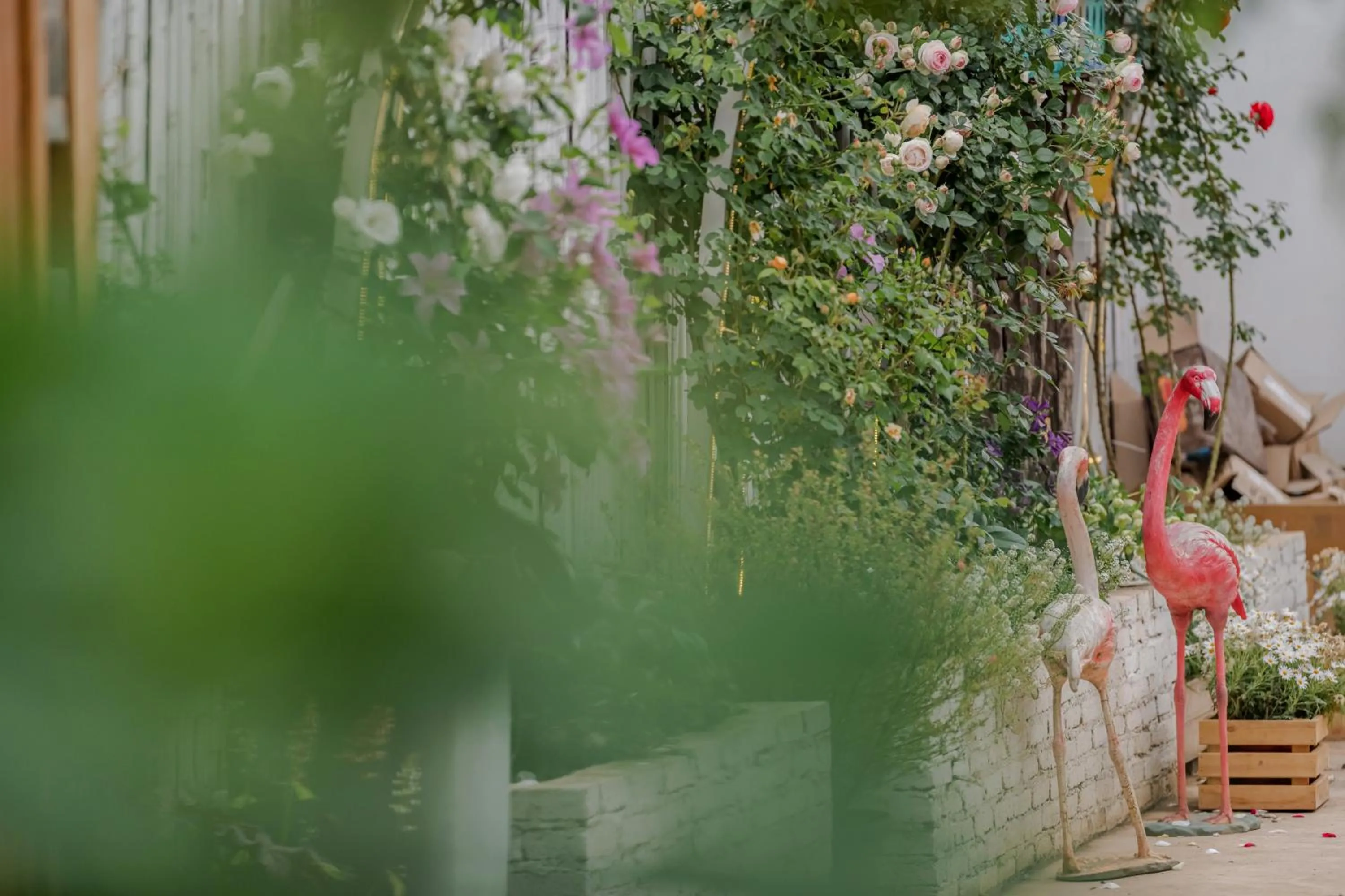 Baisha Flamingo Hotel