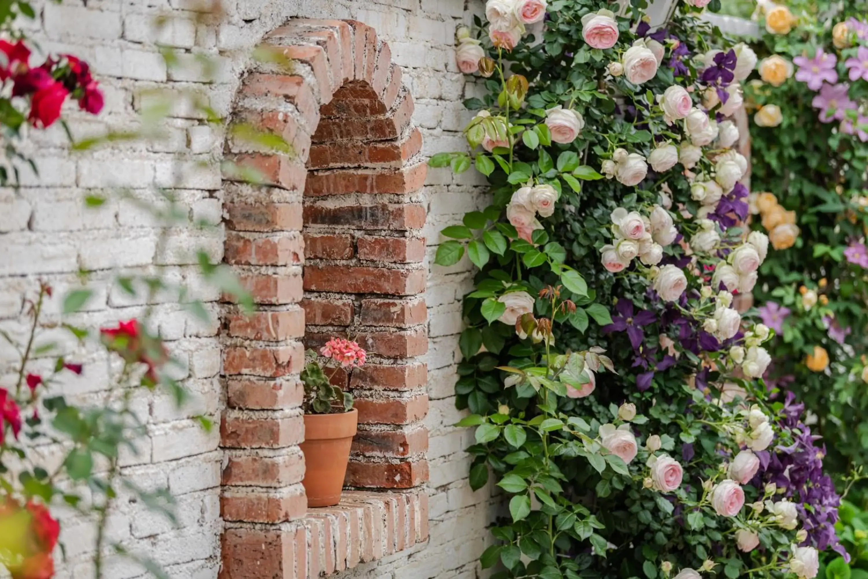Garden King Room in Baisha Flamingo Hotel Garden King Room in Baisha Flamingo Hotel