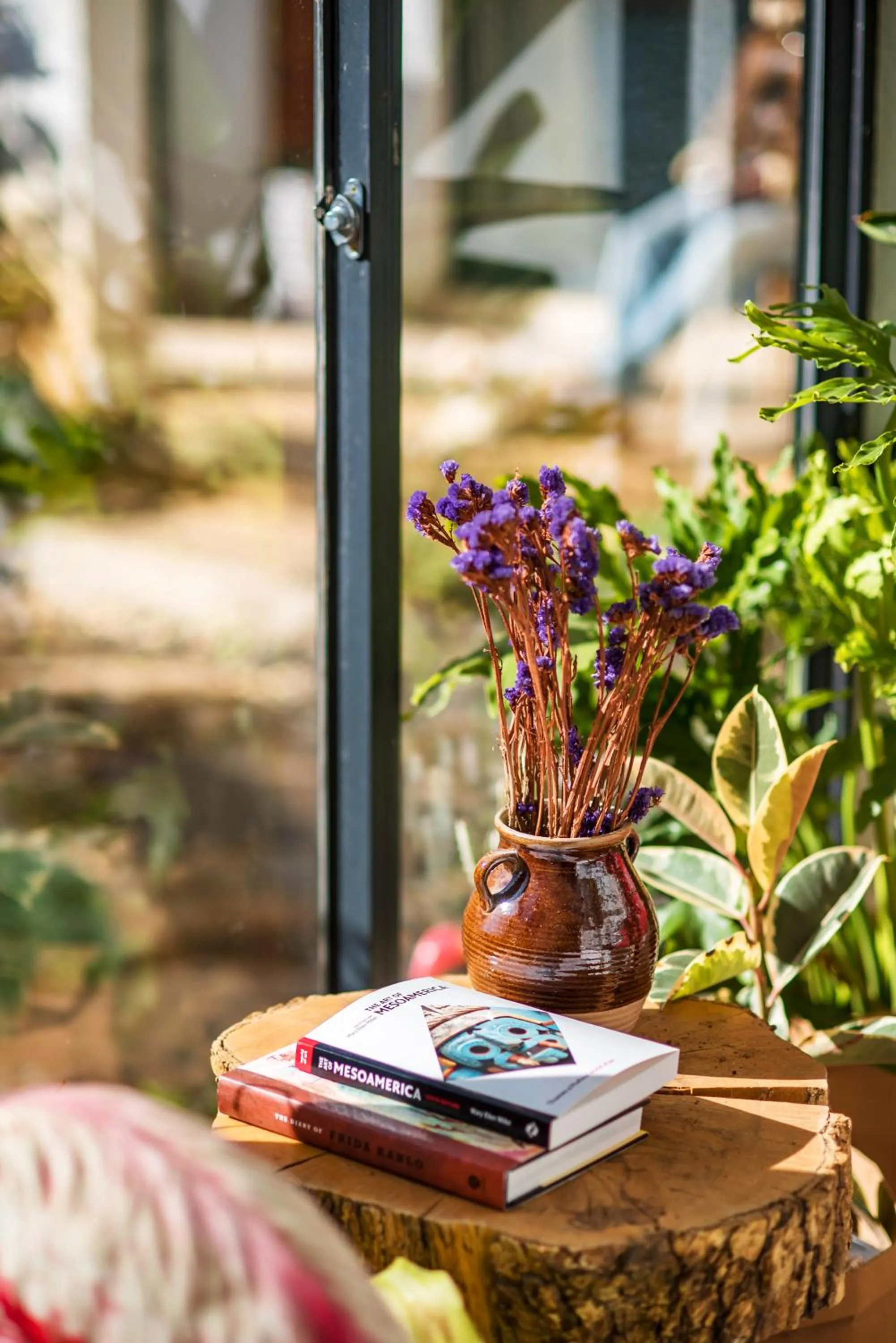 Garden in Baisha Flamingo Hotel