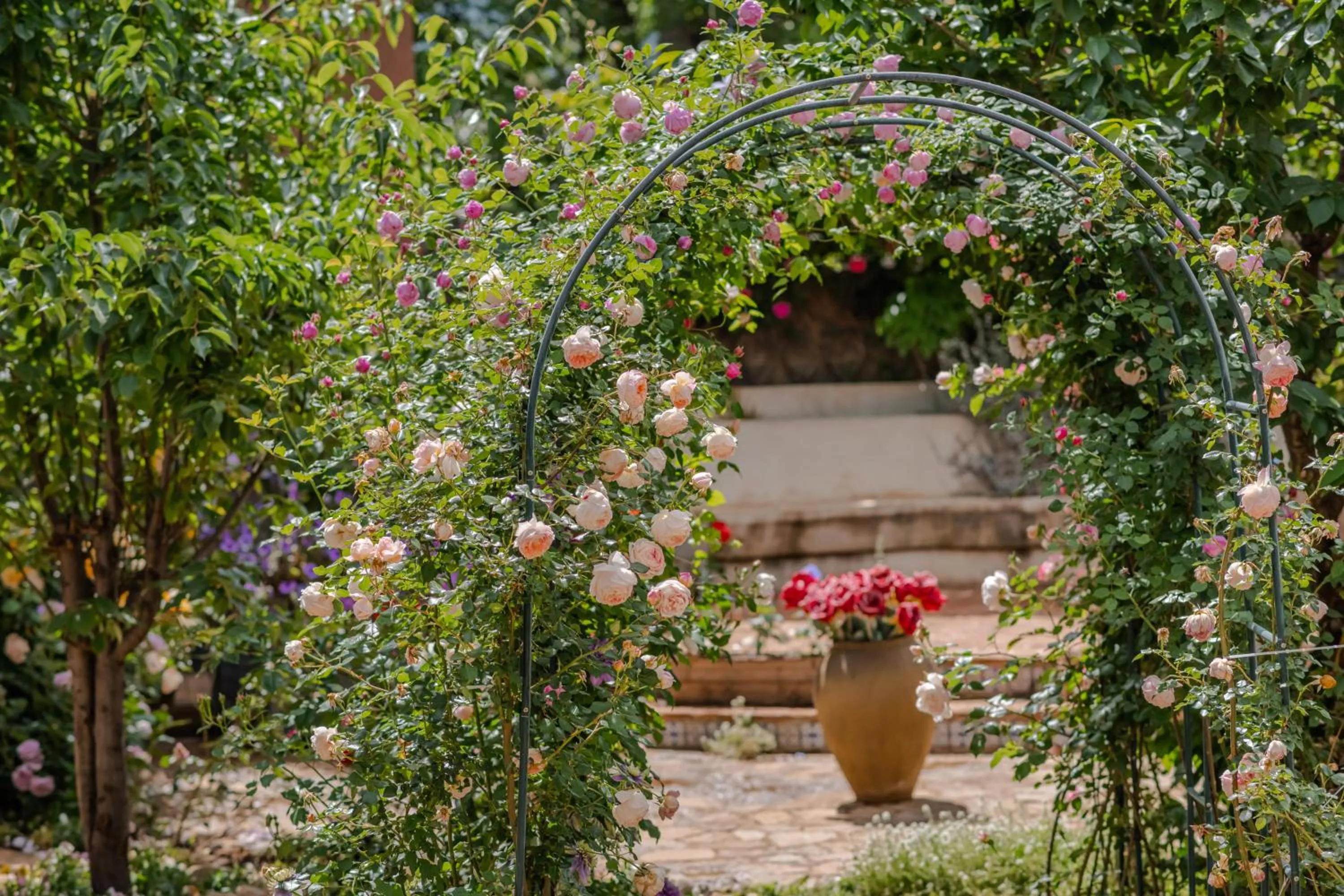 Baisha Flamingo Hotel