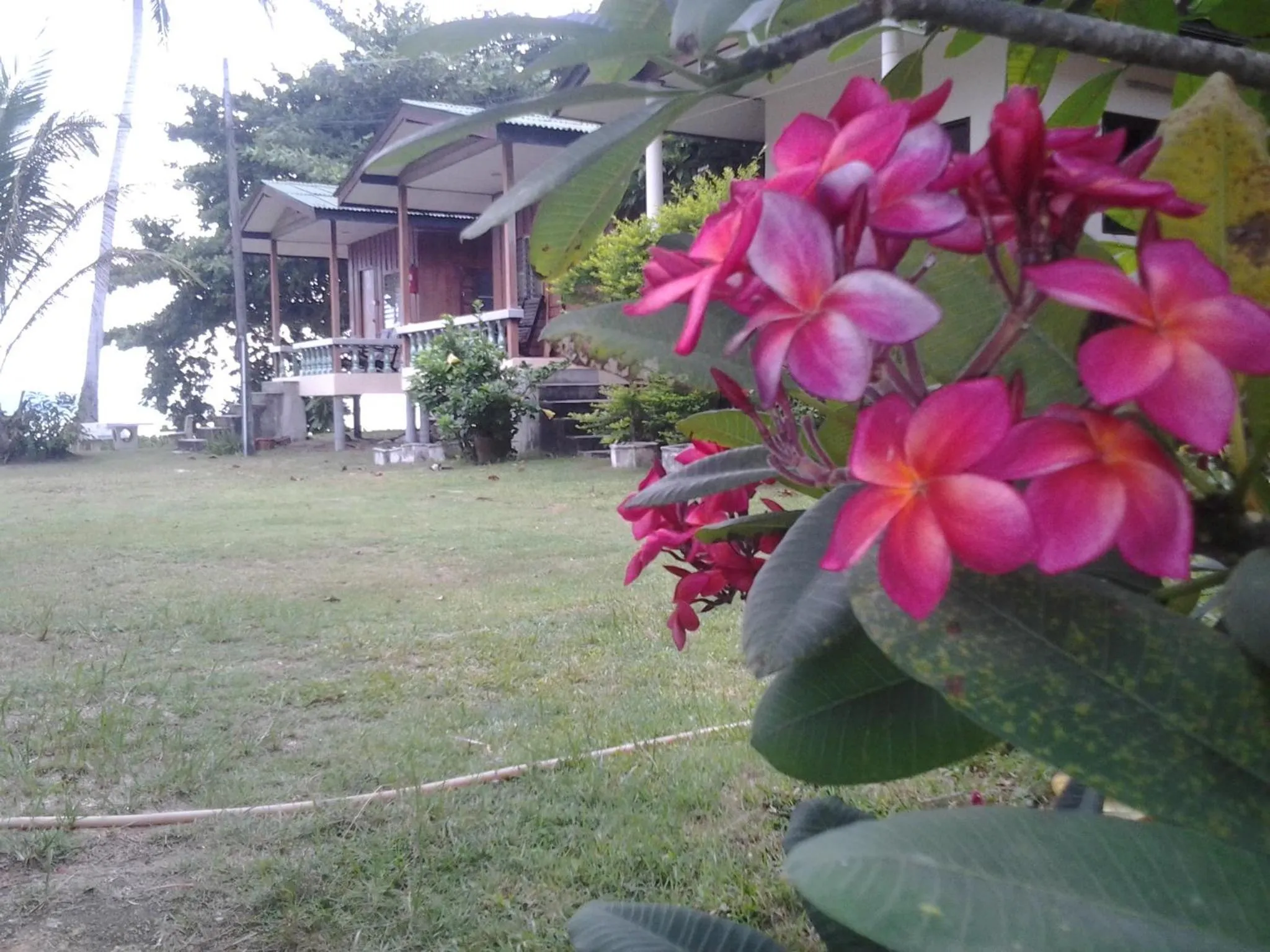 Natural landscape in Blue Lotus Resort