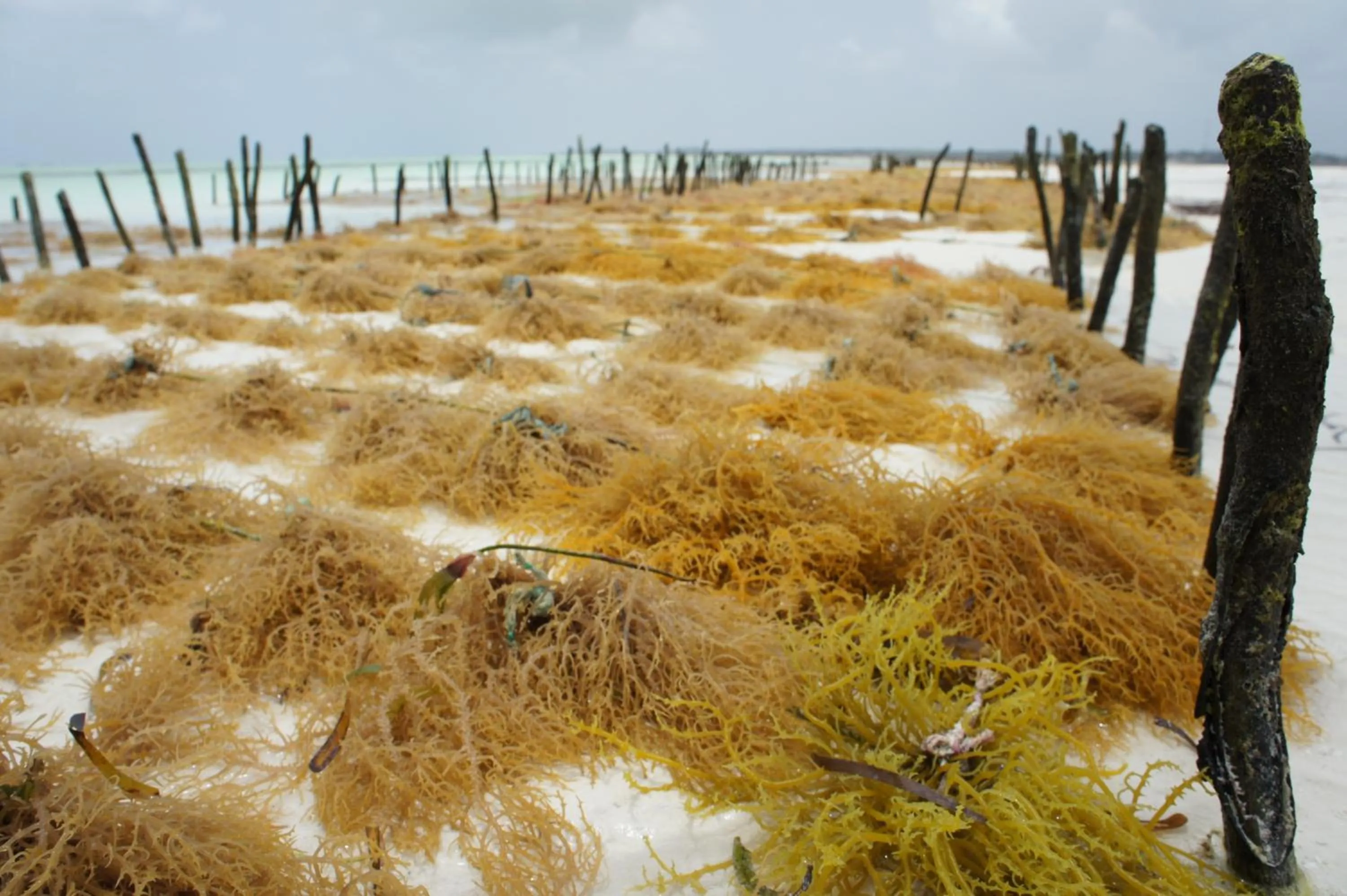People in Kimte Beach Lodge