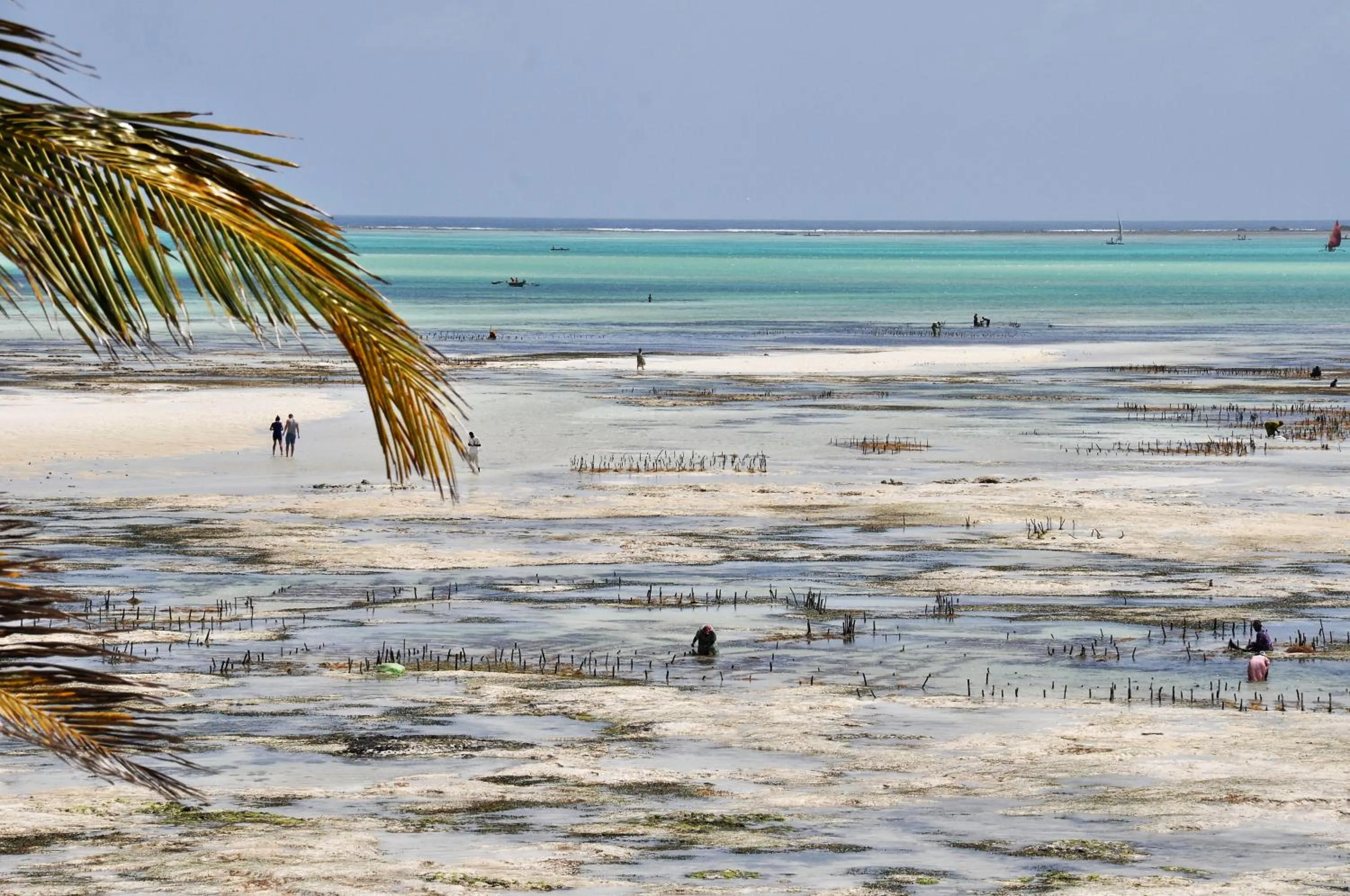 Beach in Kimte Beach Lodge