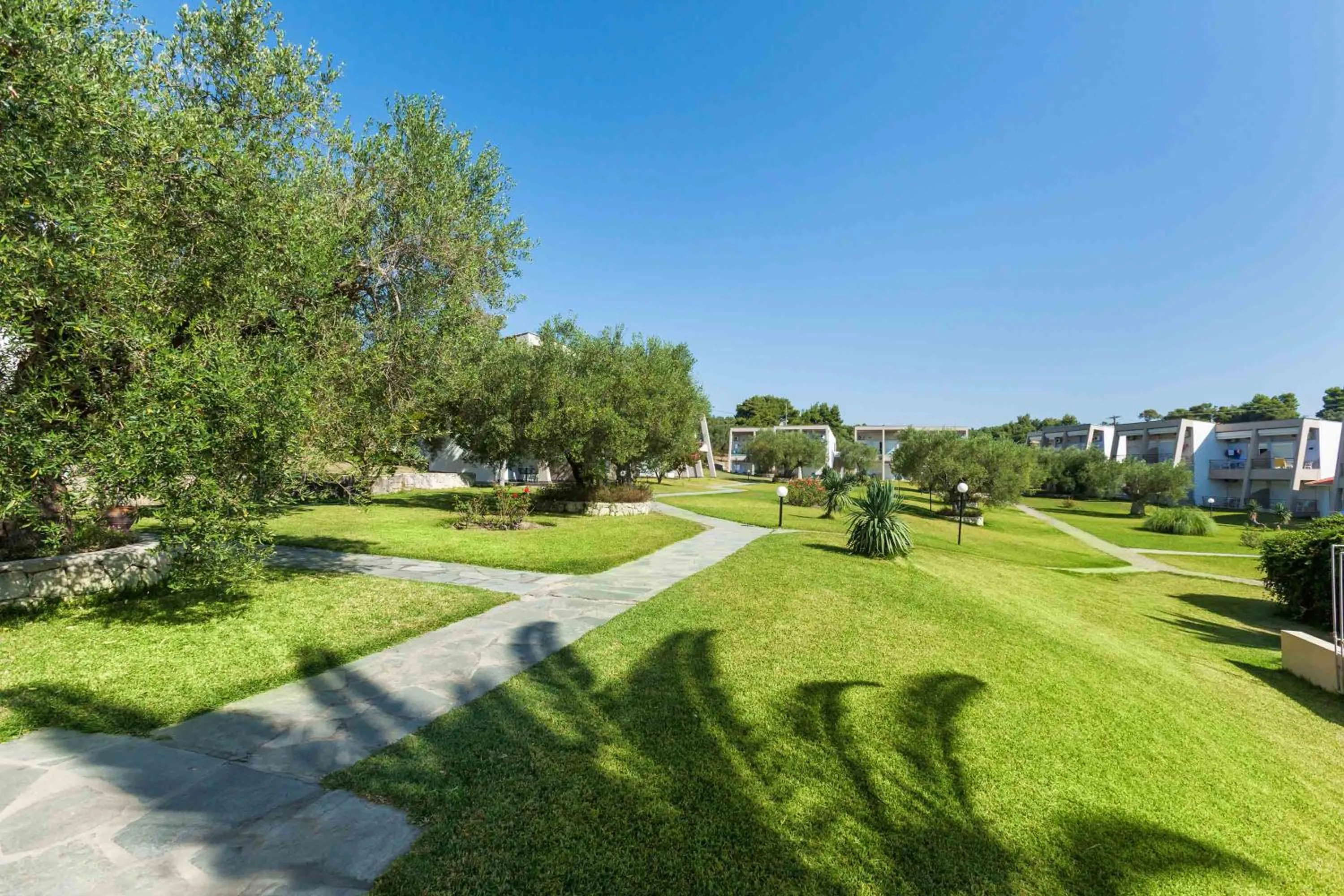 Garden in Iris Hotel