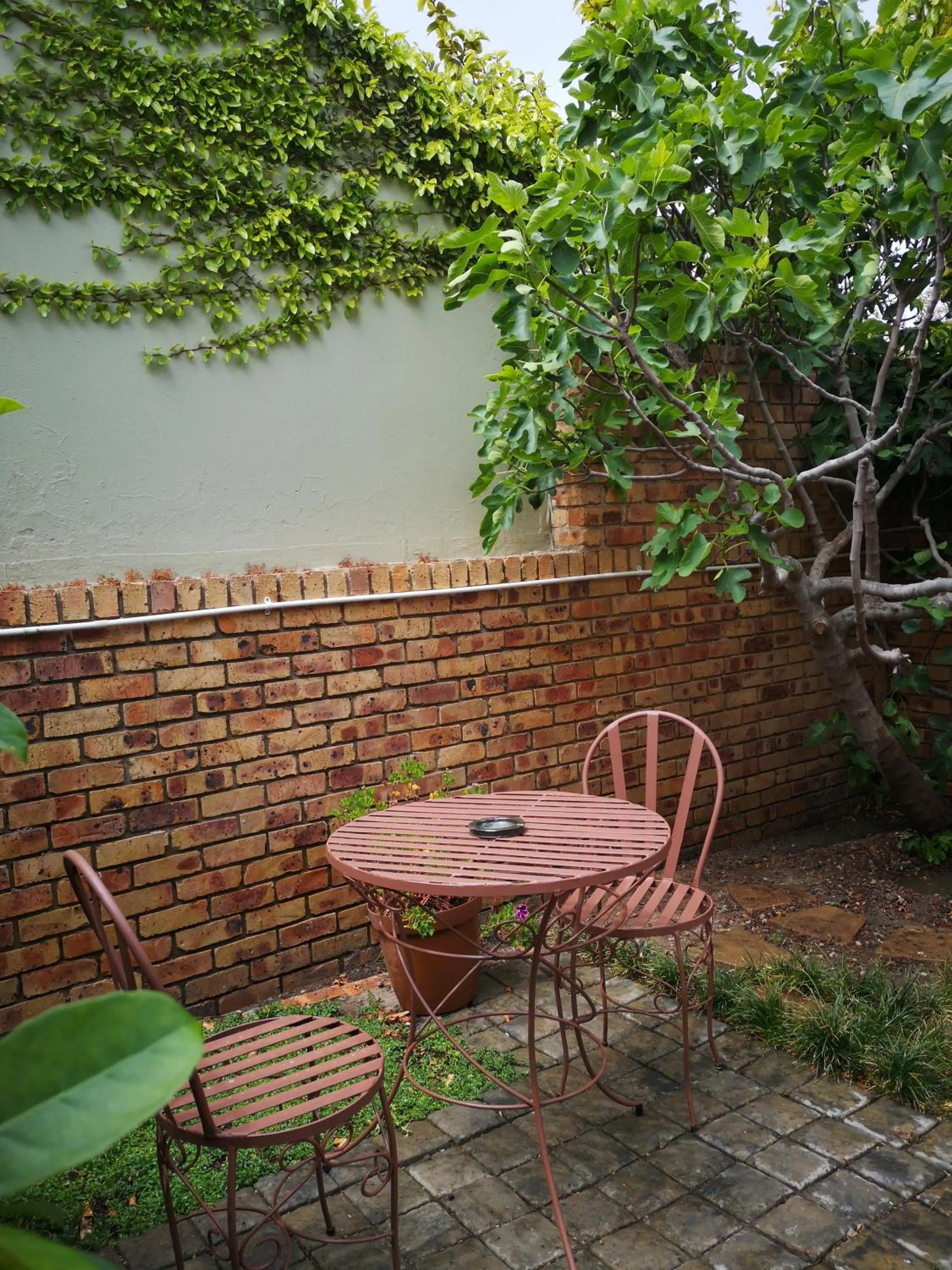 Garden in Dormio Manor Guest Lodge