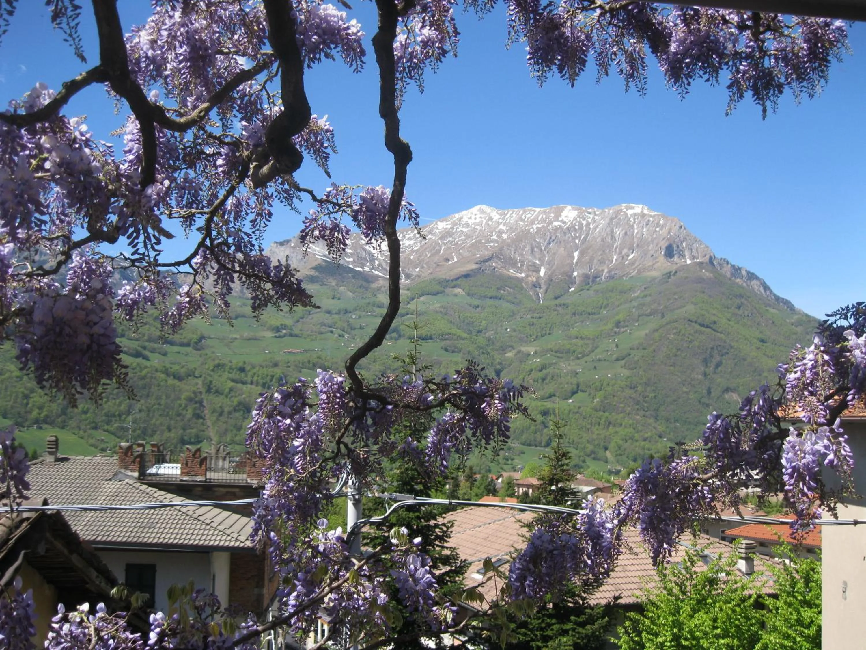 Mountain view in Albergo Esposito