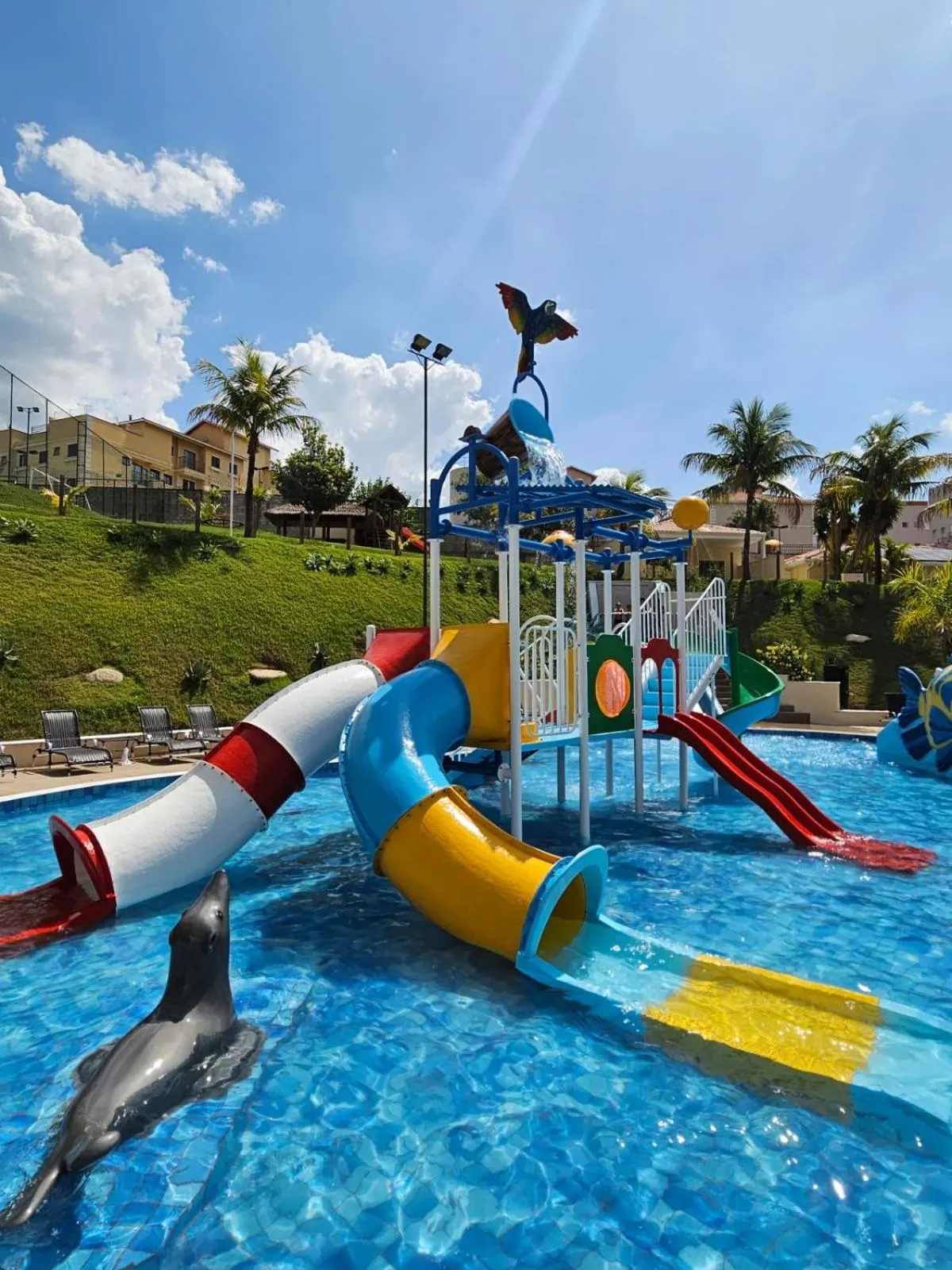 Swimming pool in Vinhedo Plaza Hotel