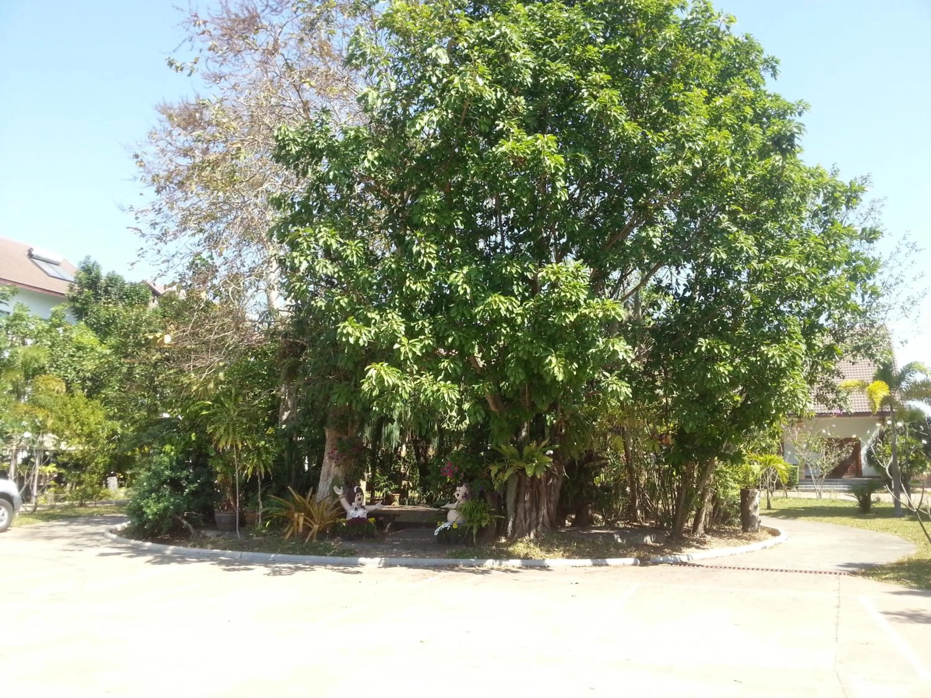 Natural landscape in Thong Paeka Hotel