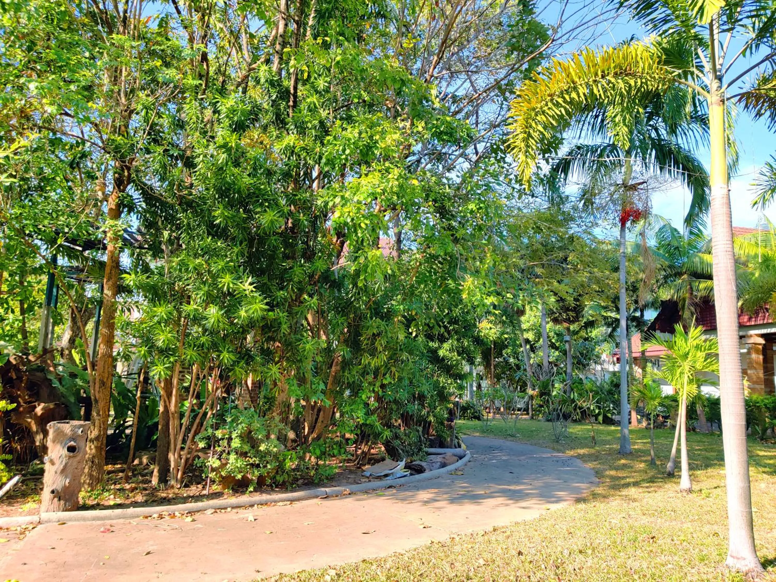 Property building in Thong Paeka Hotel