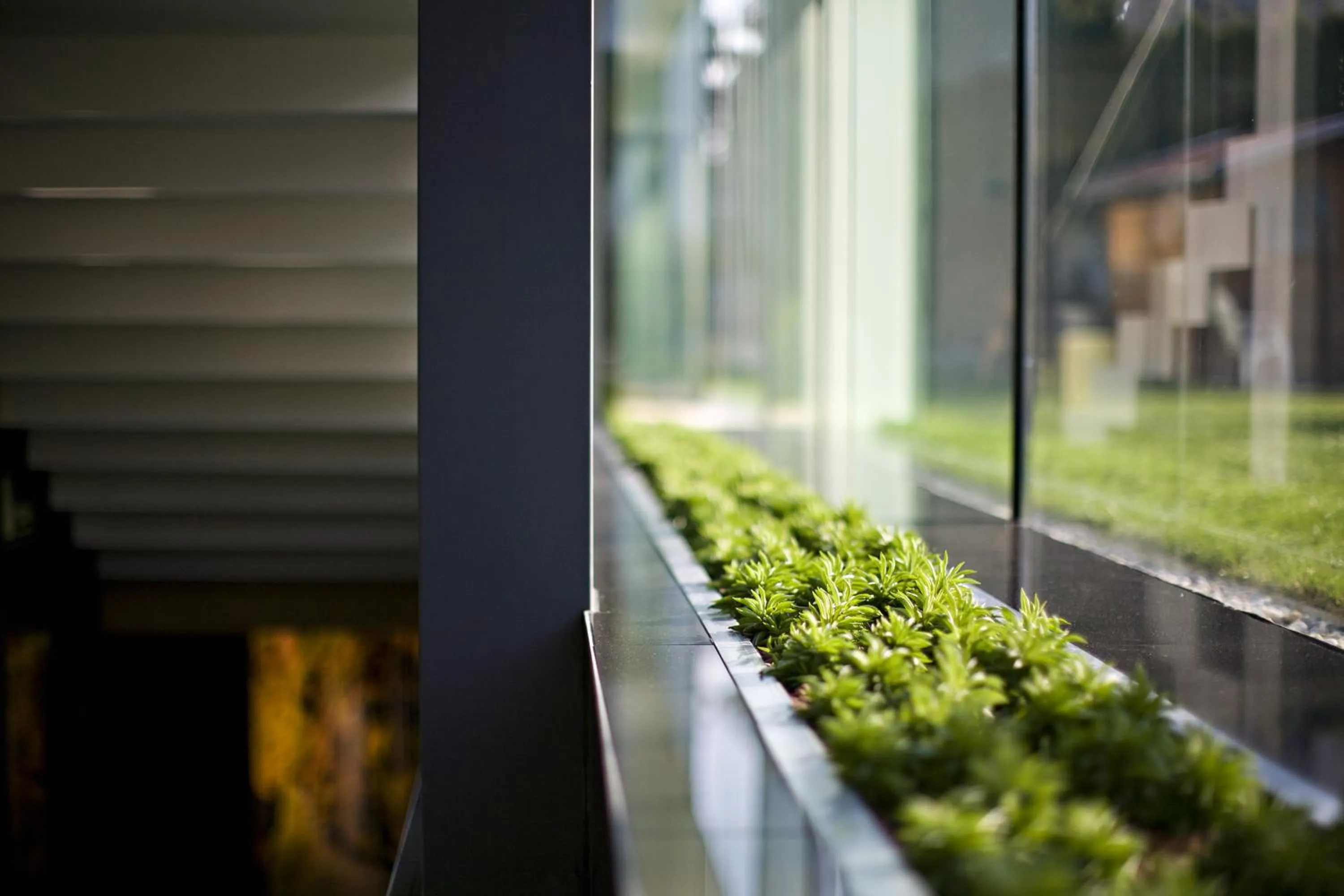 Area and facilities in Hotel Zena Beauty & Shopping Center