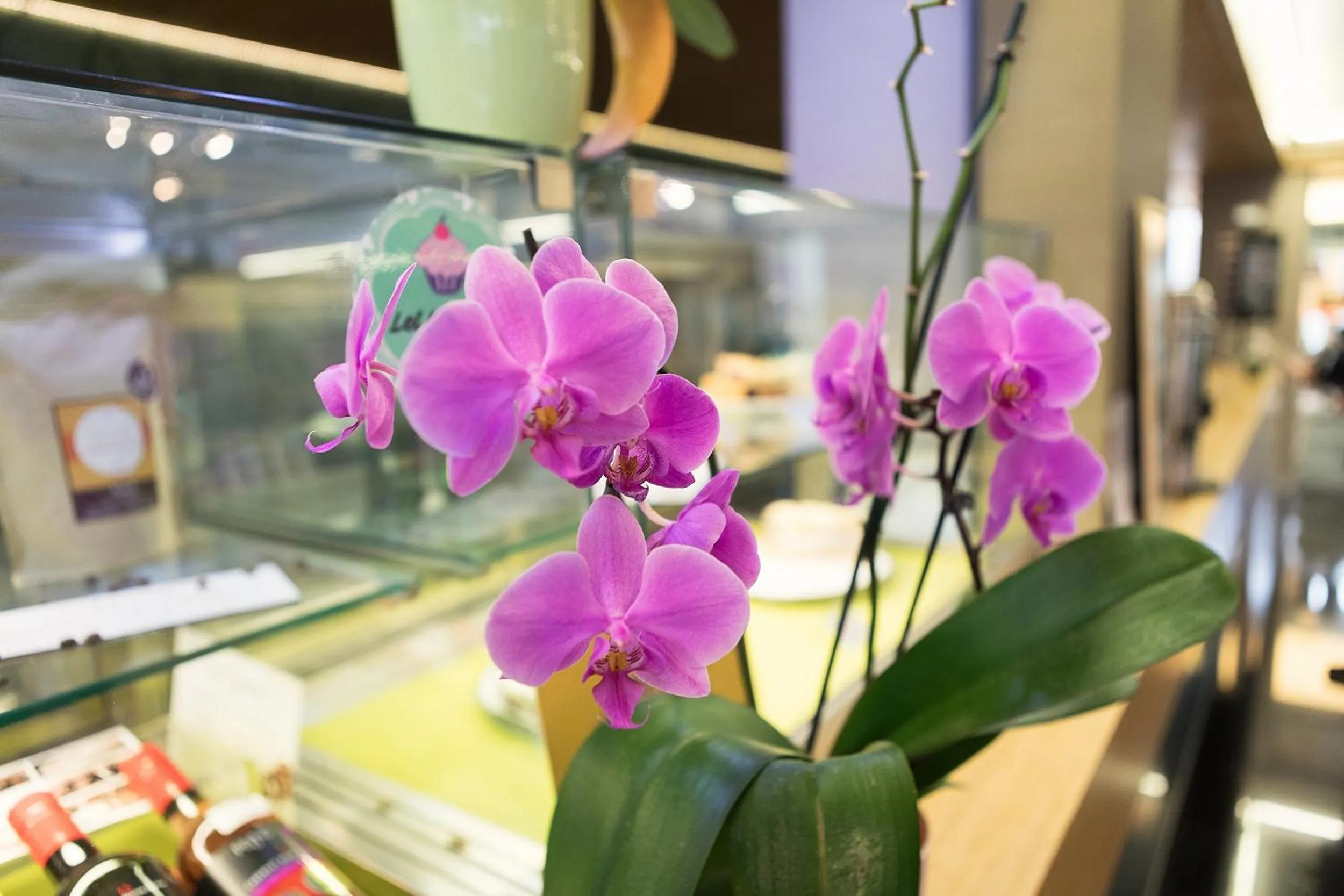 Lobby or reception in Hotel Zena Beauty & Shopping Center