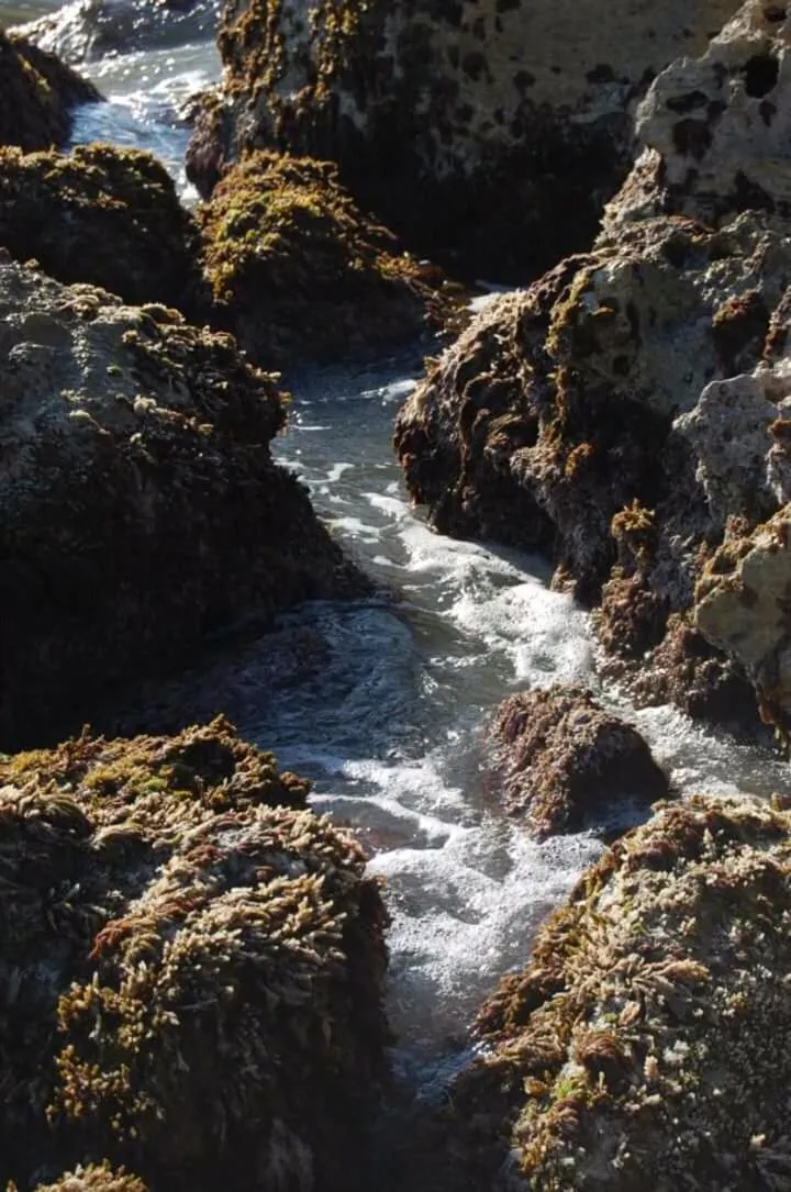 Off site in Elianthos B&B