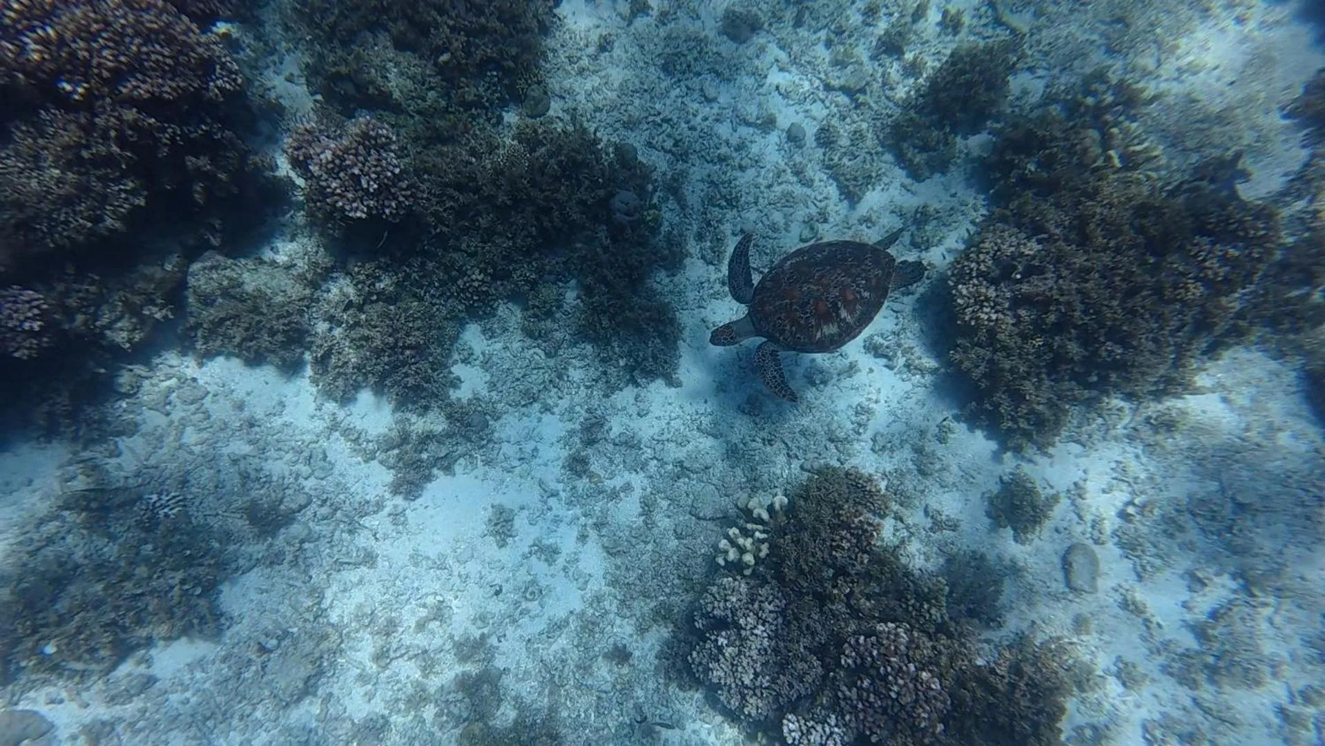 Beach in The Lighthouse Resort