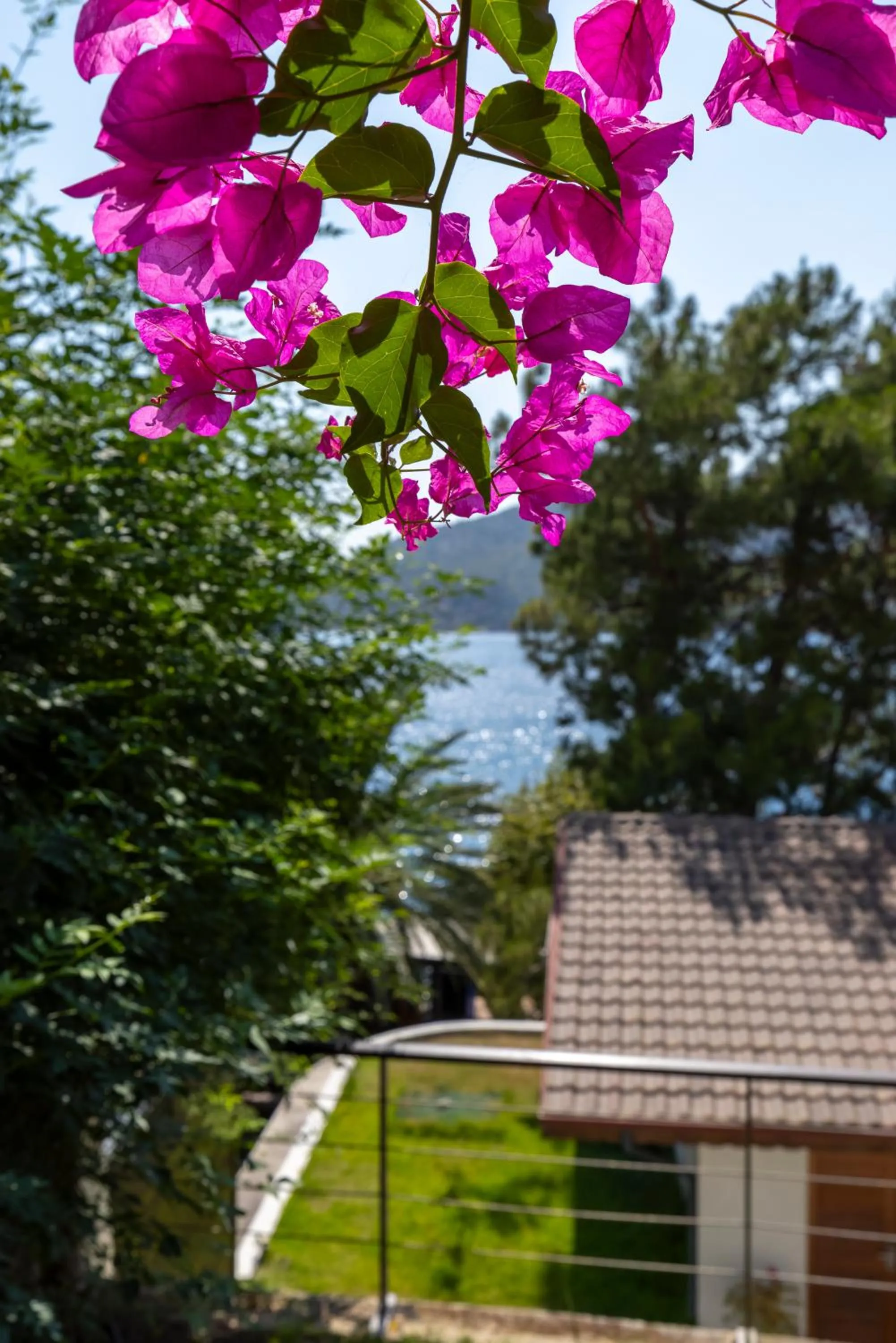 Miamai Boutique Hotel - Adult Only