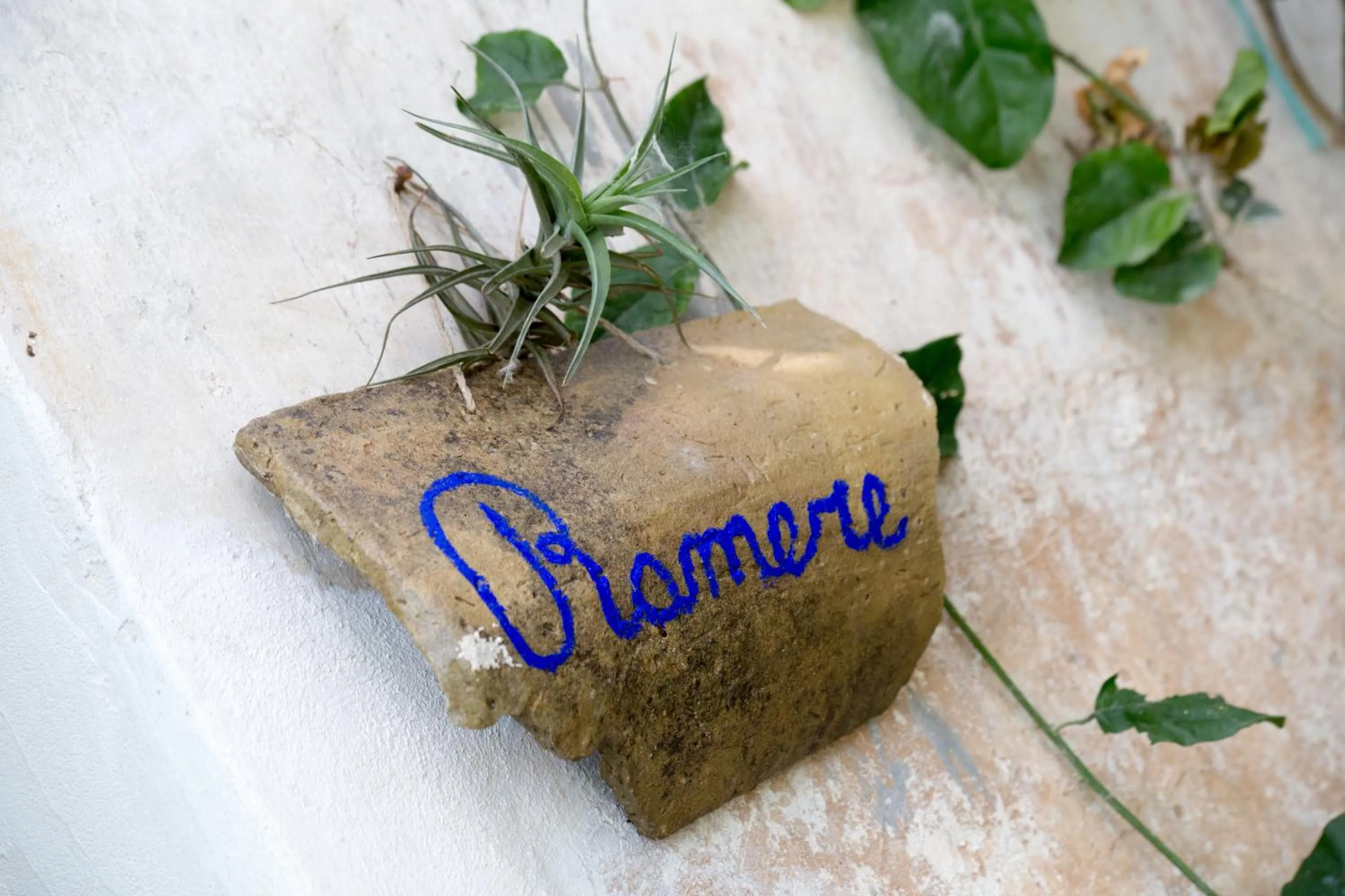 Decorative detail in Giardino Nascosto