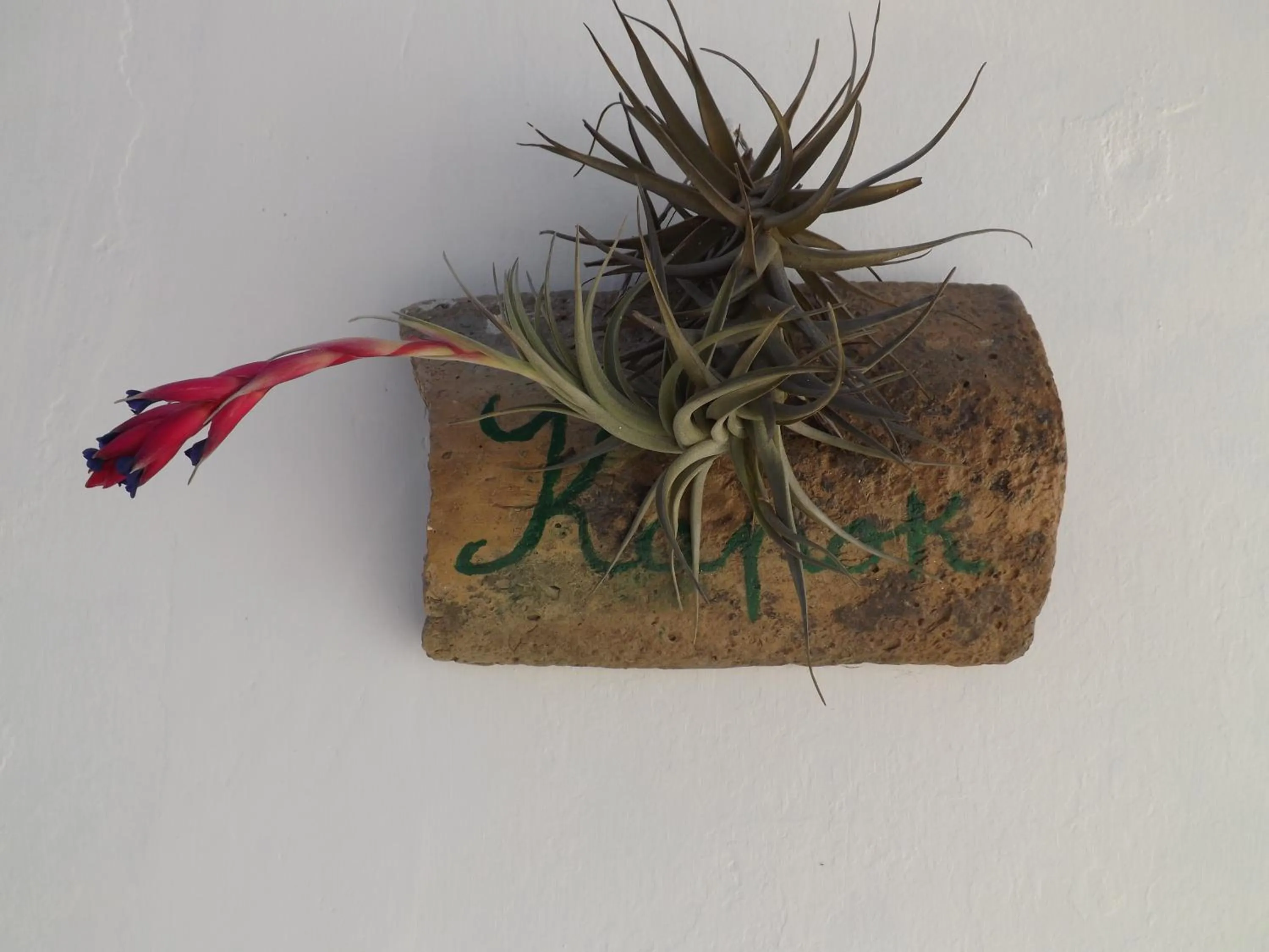 Decorative detail in Giardino Nascosto