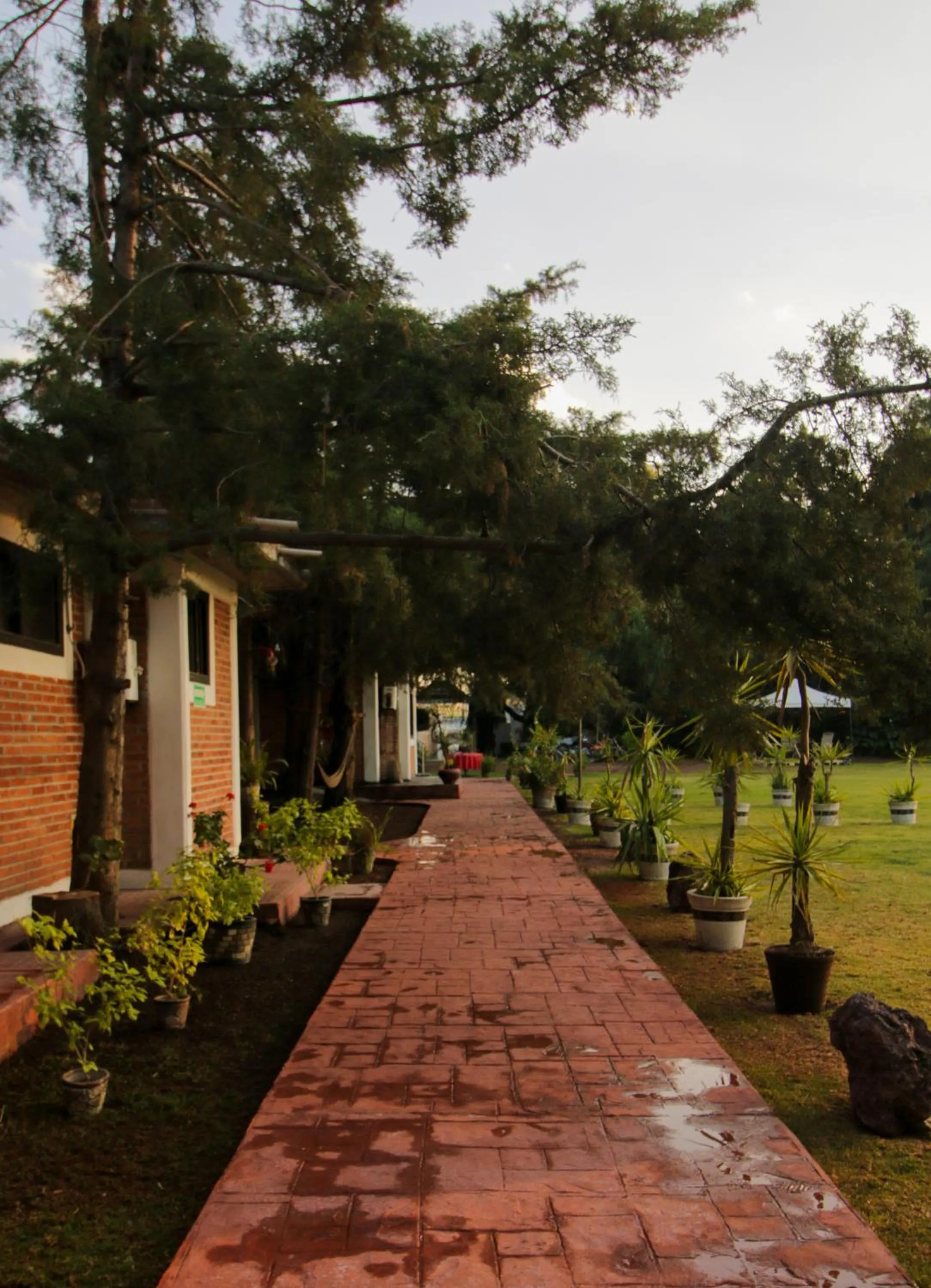 Telpochcalli Hotel & Temazcal