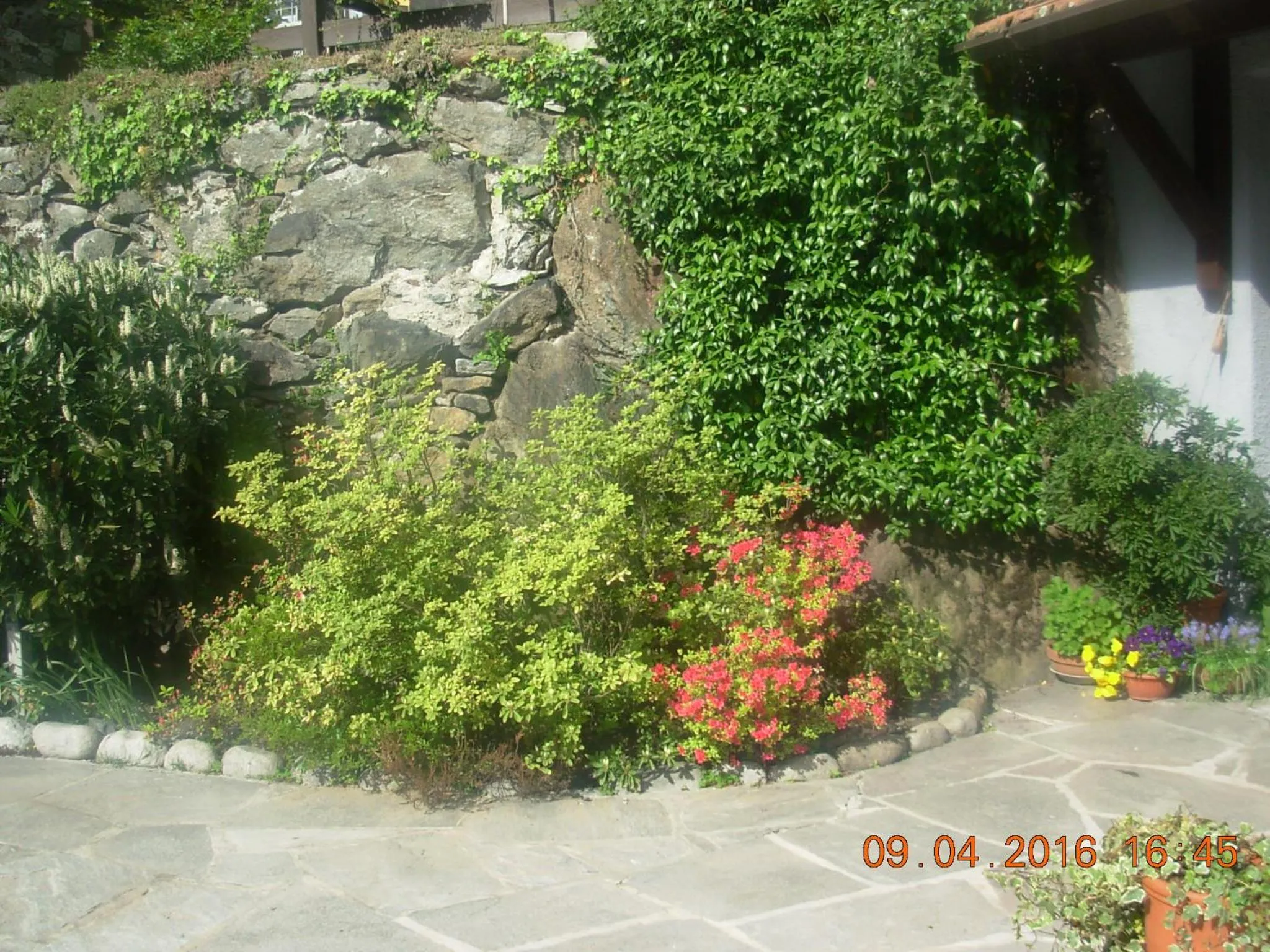 Garden in B&B I Pioppi