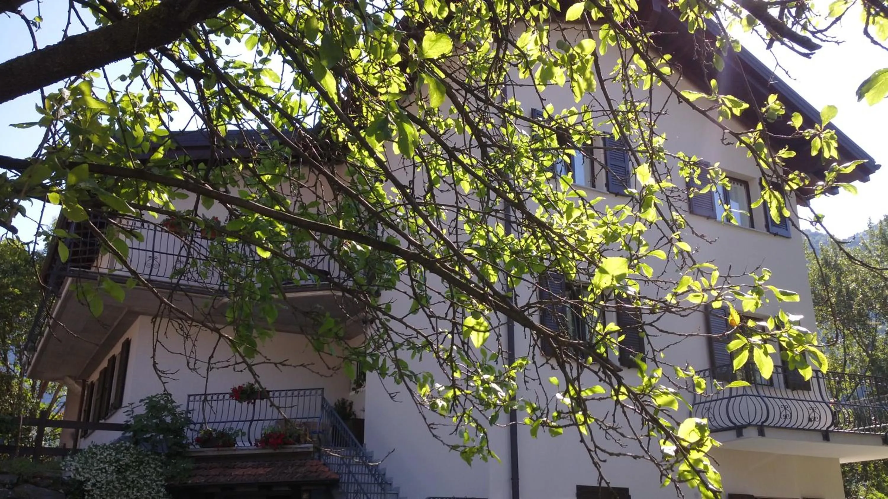 Property building in B&B I Pioppi