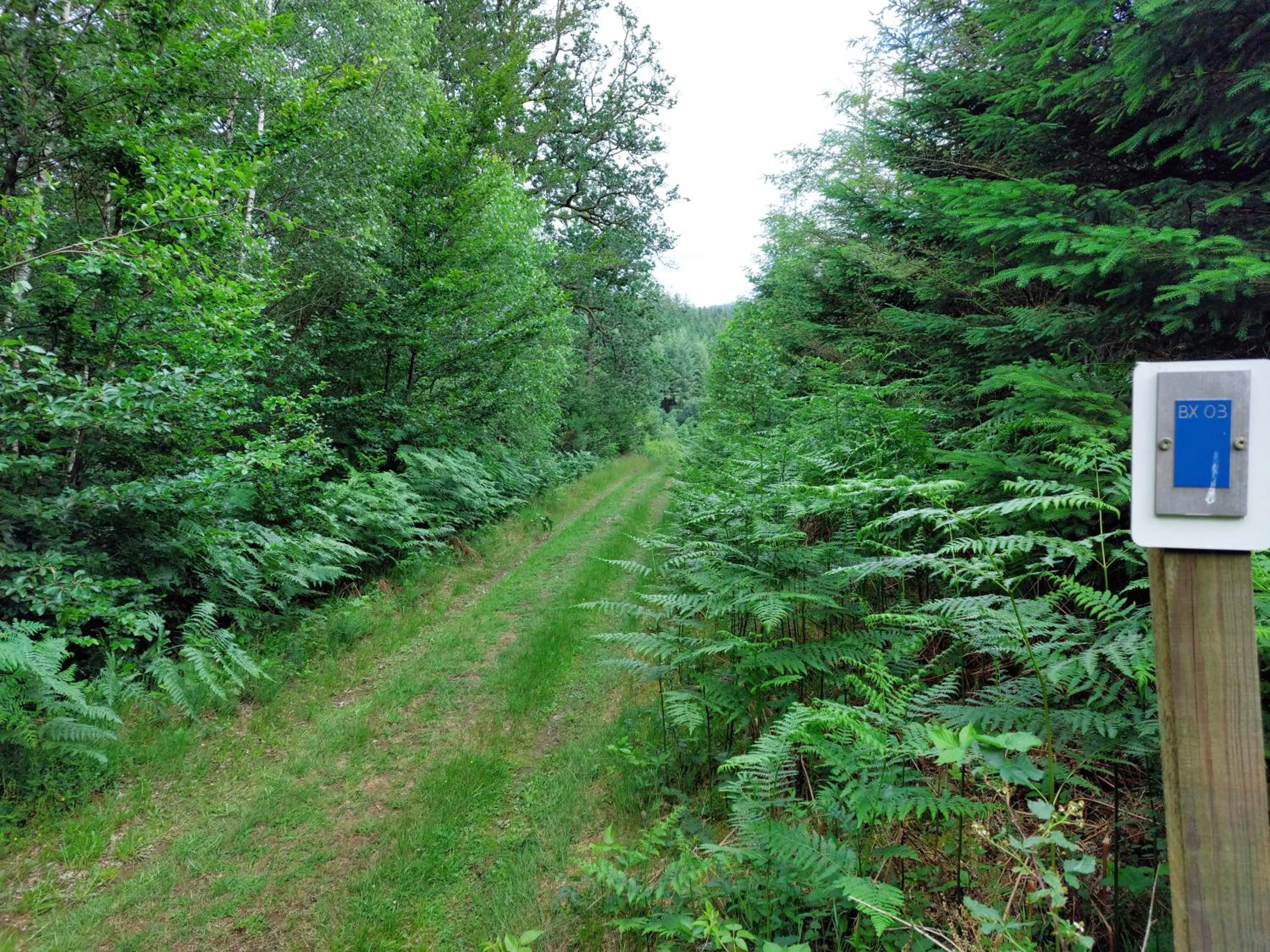 Natural landscape in A L'inattendue