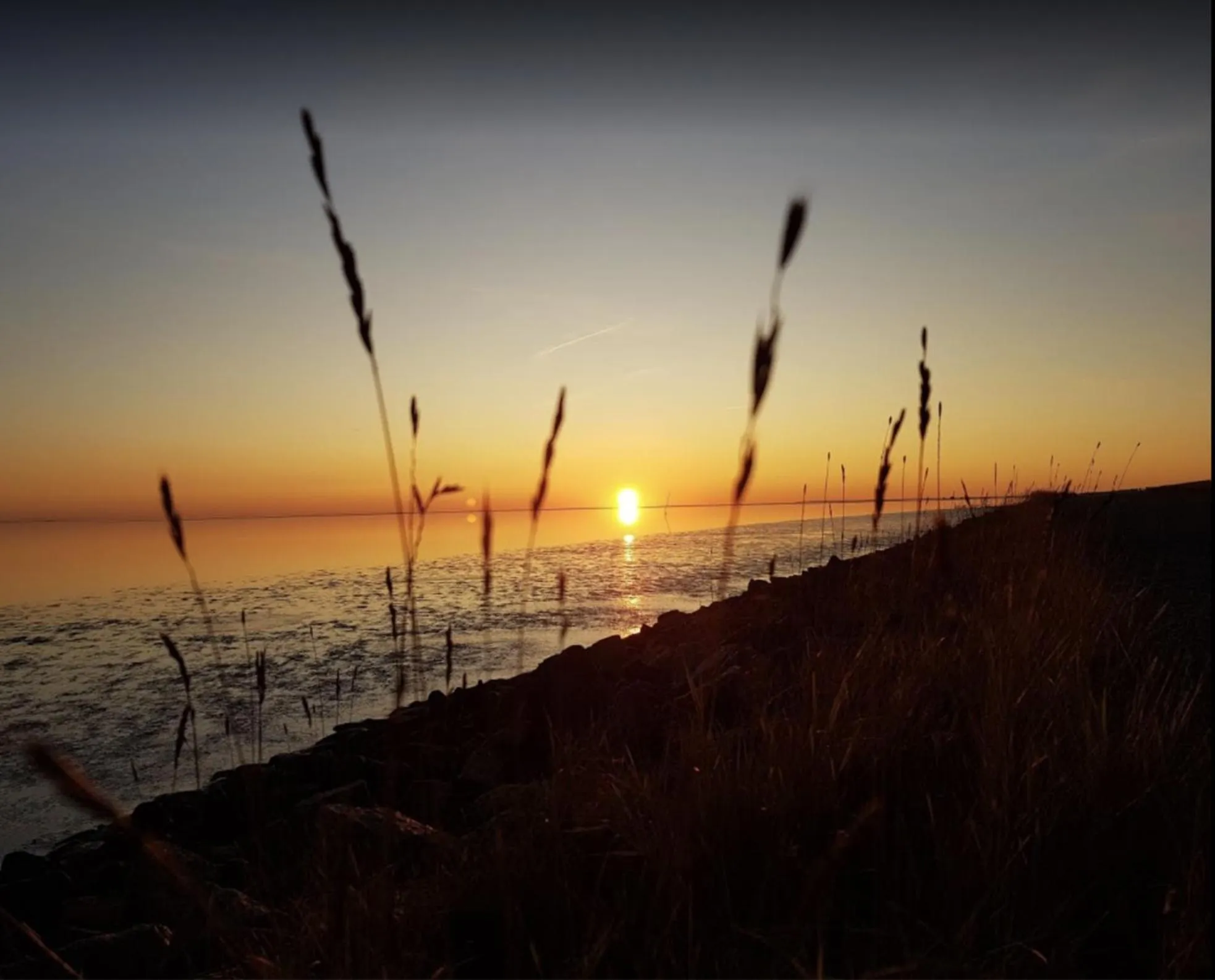 Natural landscape in Hotel Fernsicht