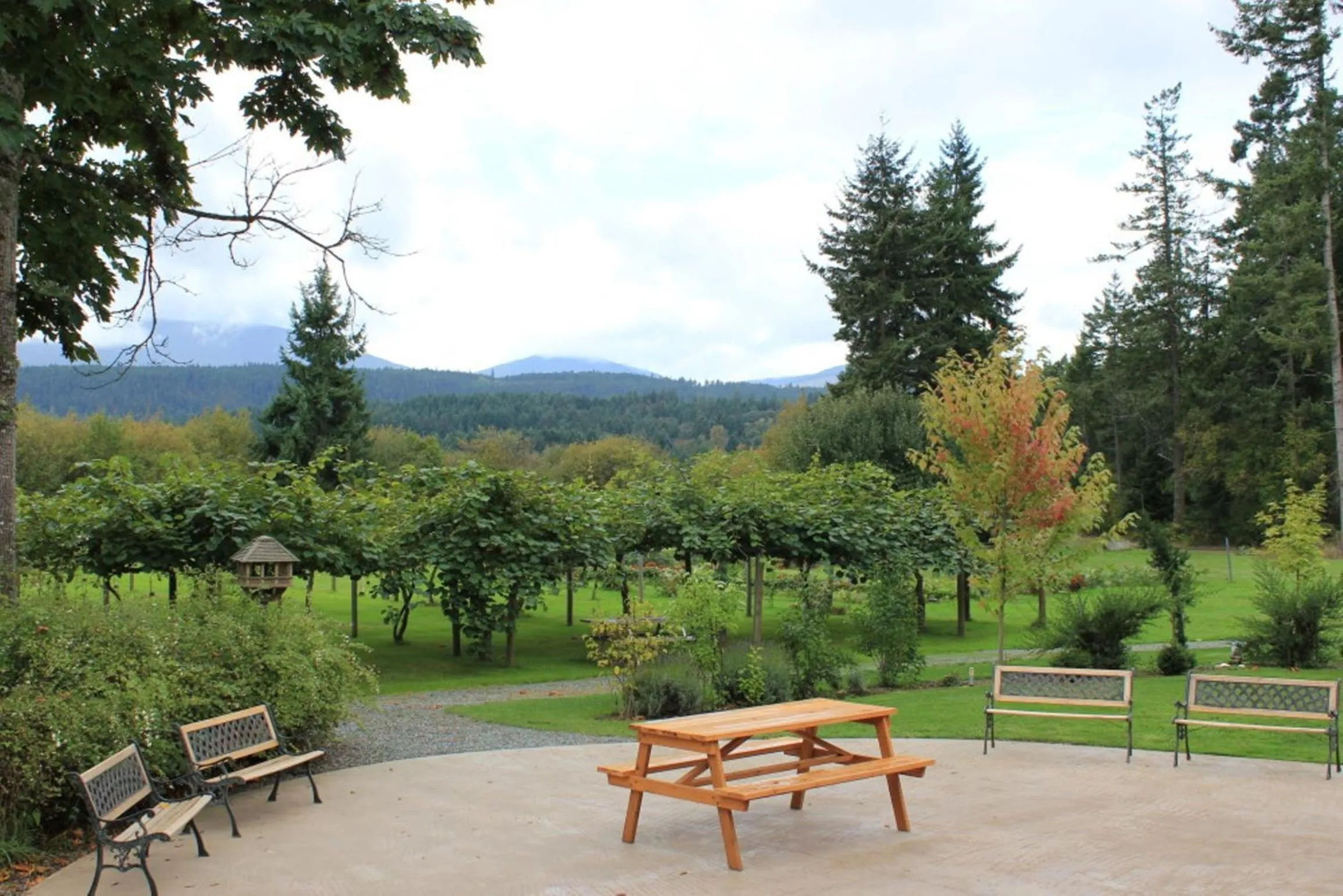 Balcony/Terrace in Kiwi Cove Lodge